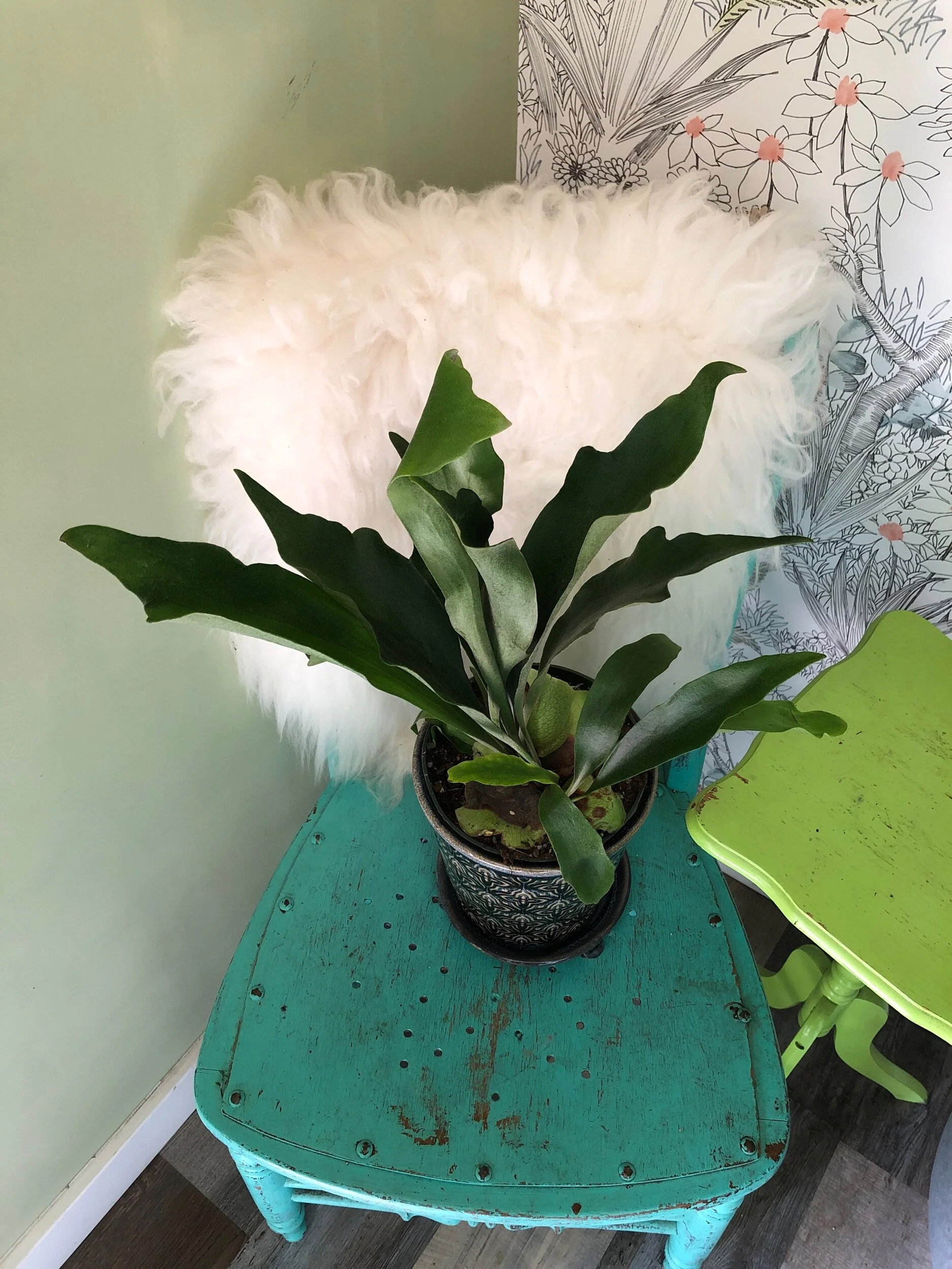 DCF6E727-B624-4B10-B92C-56C1A3C31BCB