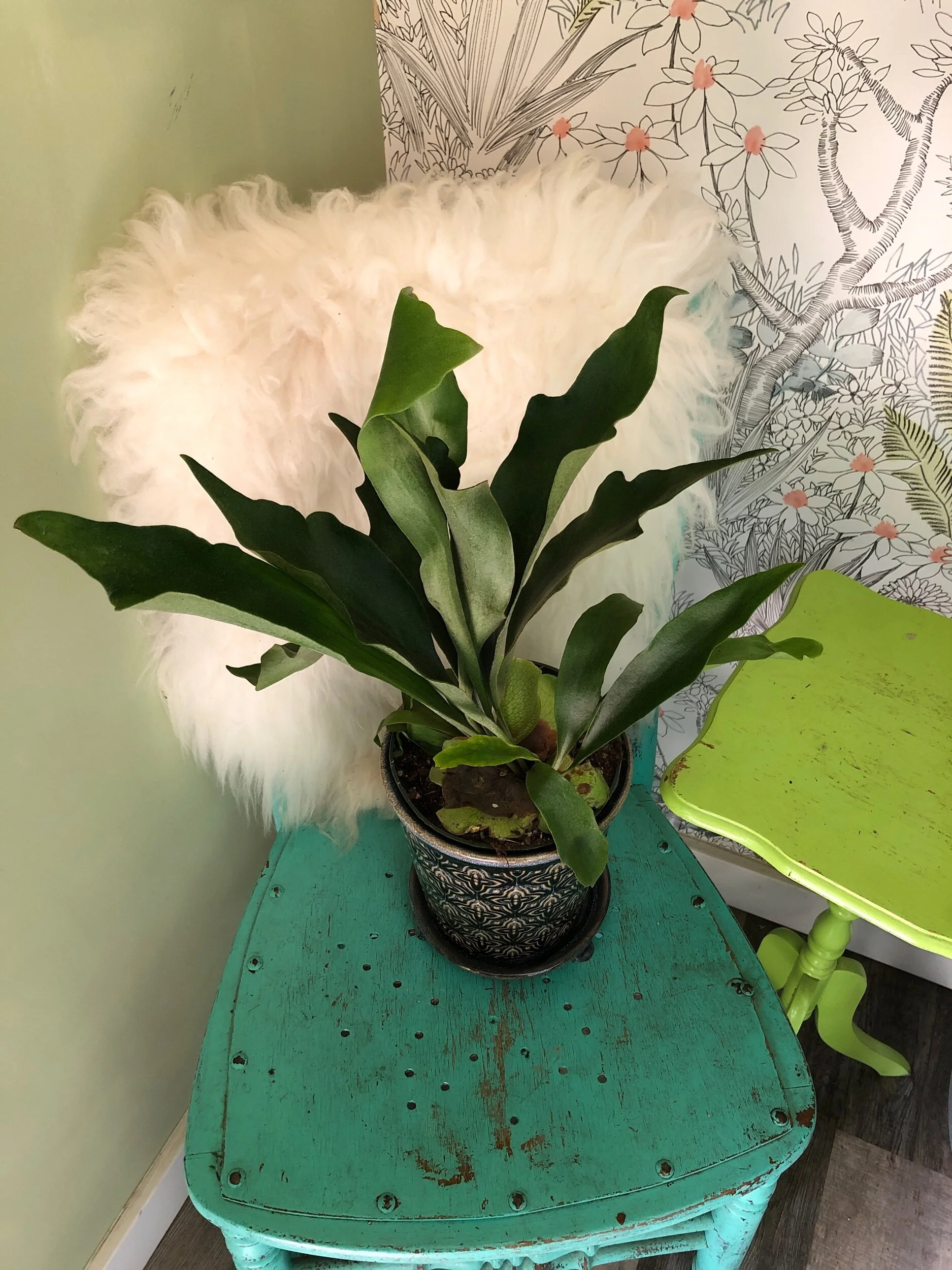 6BF6086D-BBF1-4679-BFDC-D8355C966DBF