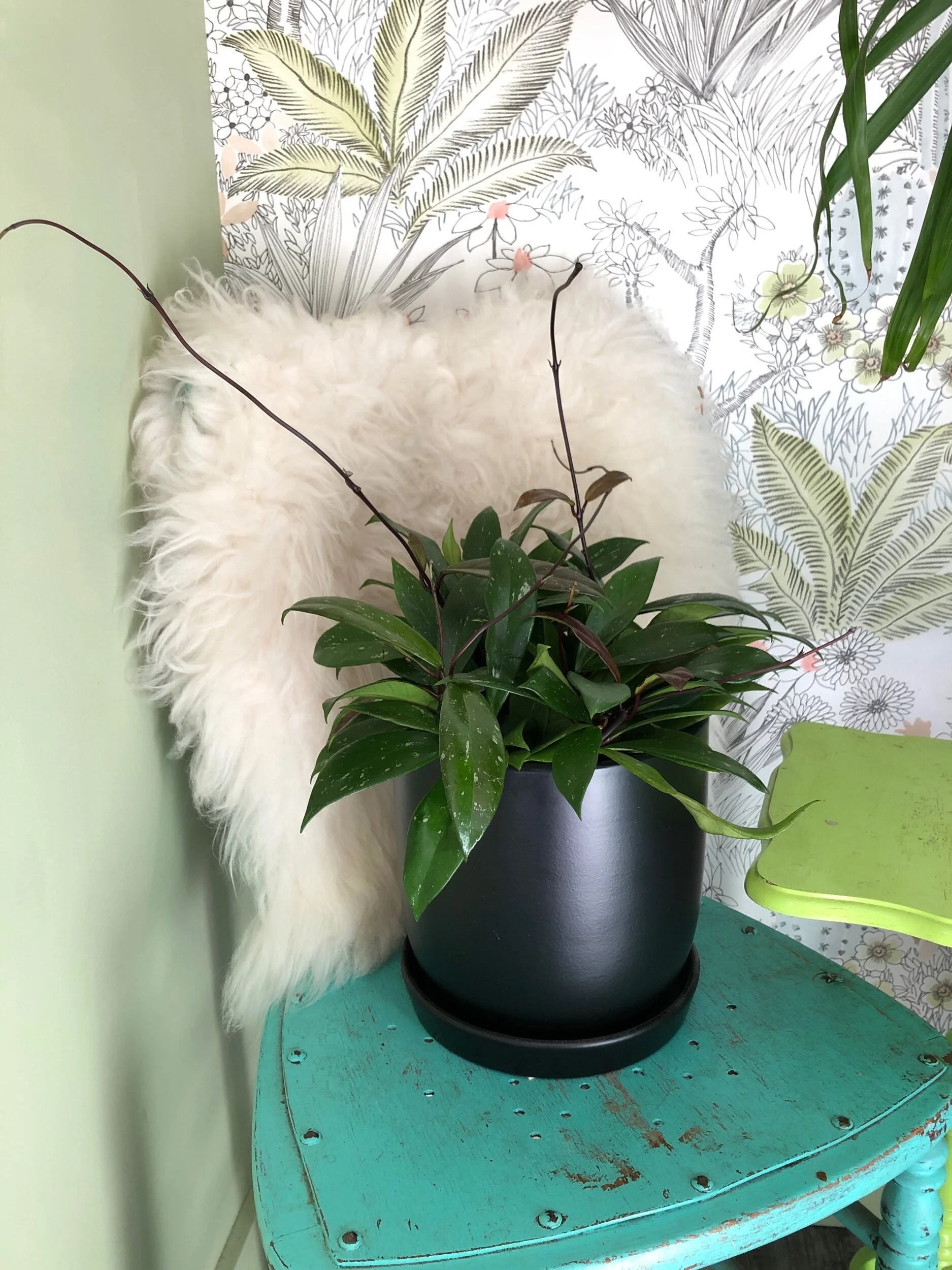 48BE0430-910B-4606-AA12-CFC2D509828C