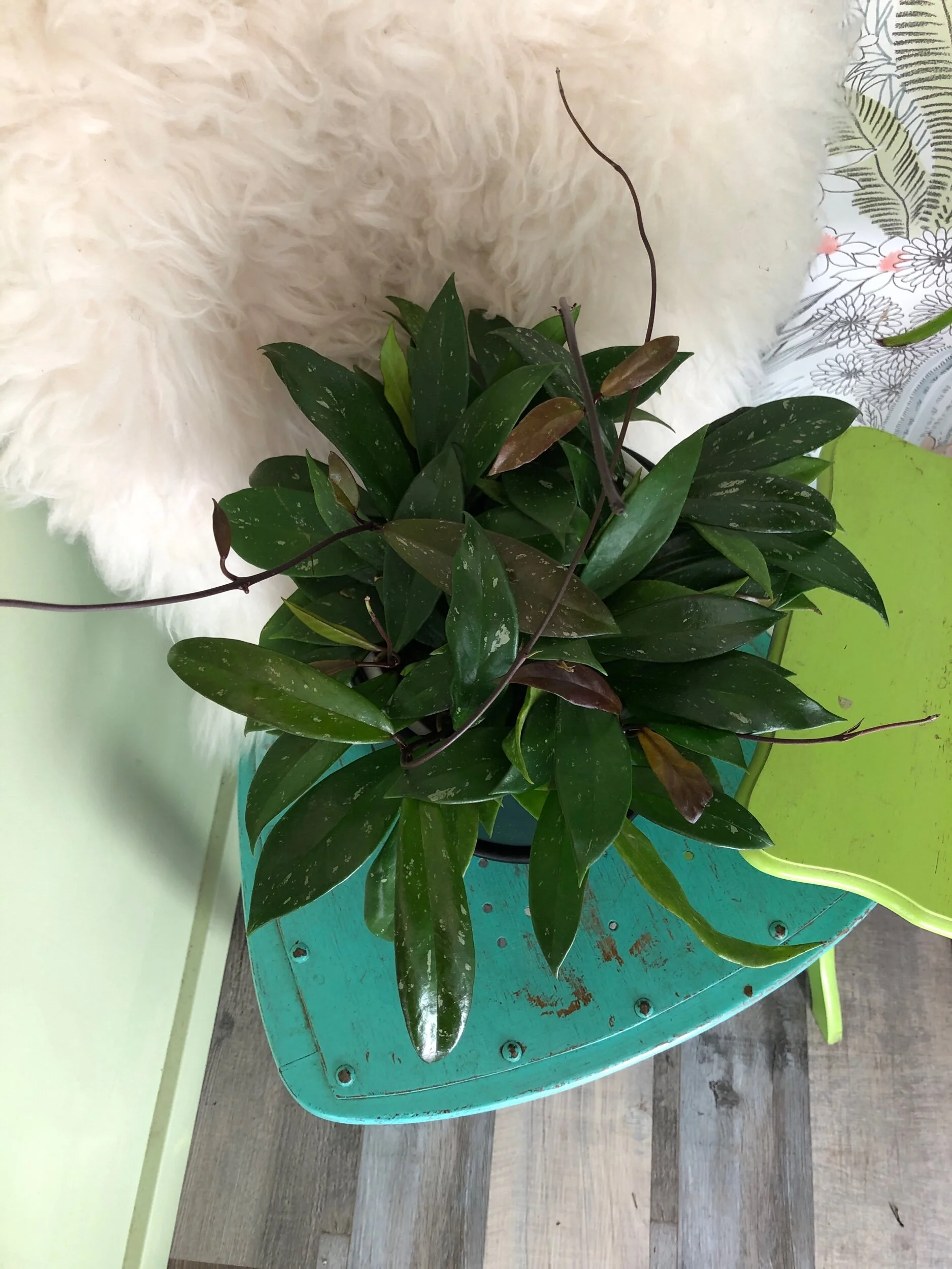 ADB70566-6374-46B9-9114-95008FD40175