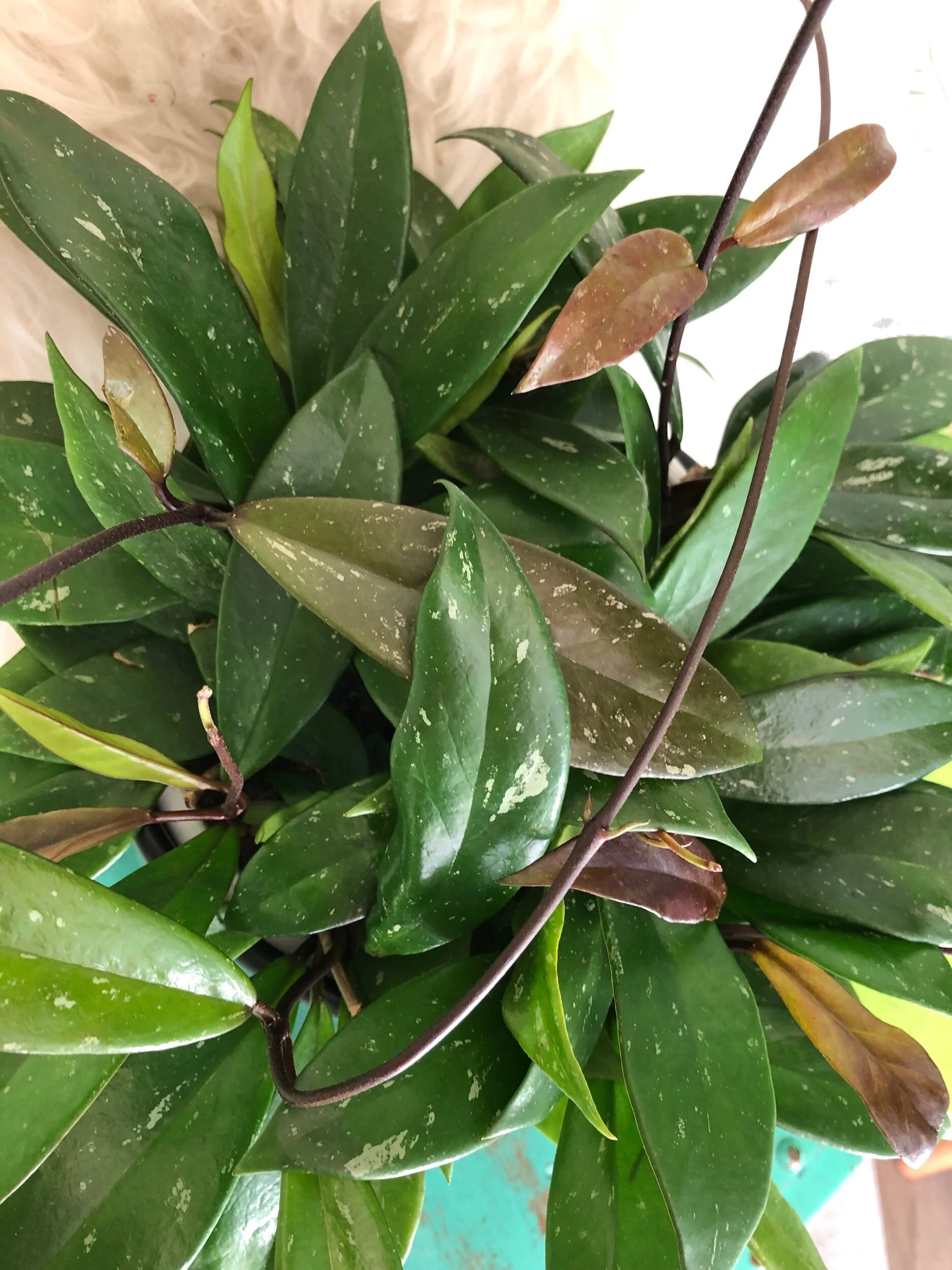 E80439AB-1FB2-46AE-9F8E-49A9617F2576