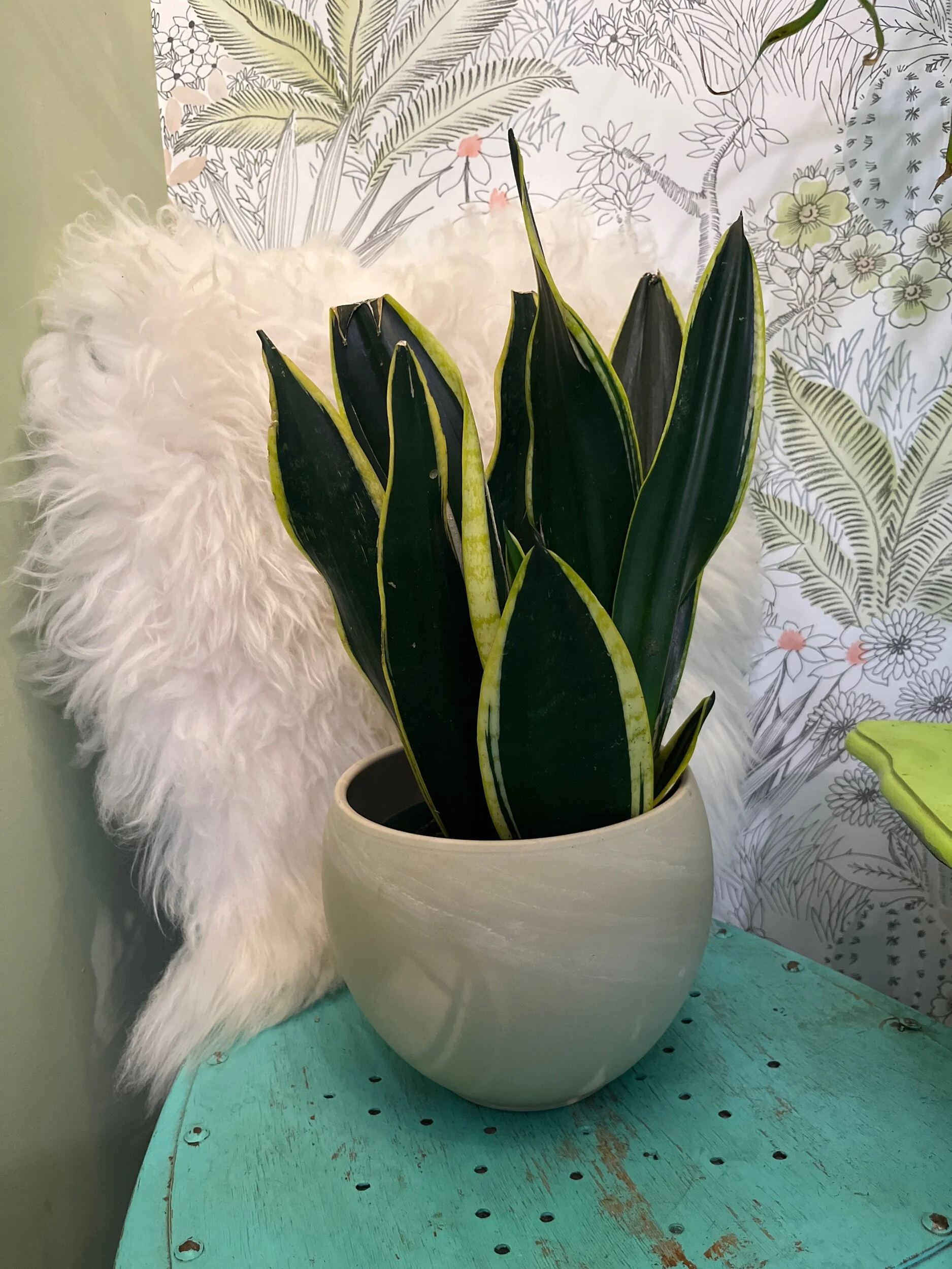 EA424FA0-E42F-4C71-975D-BCEAEE9C7F36