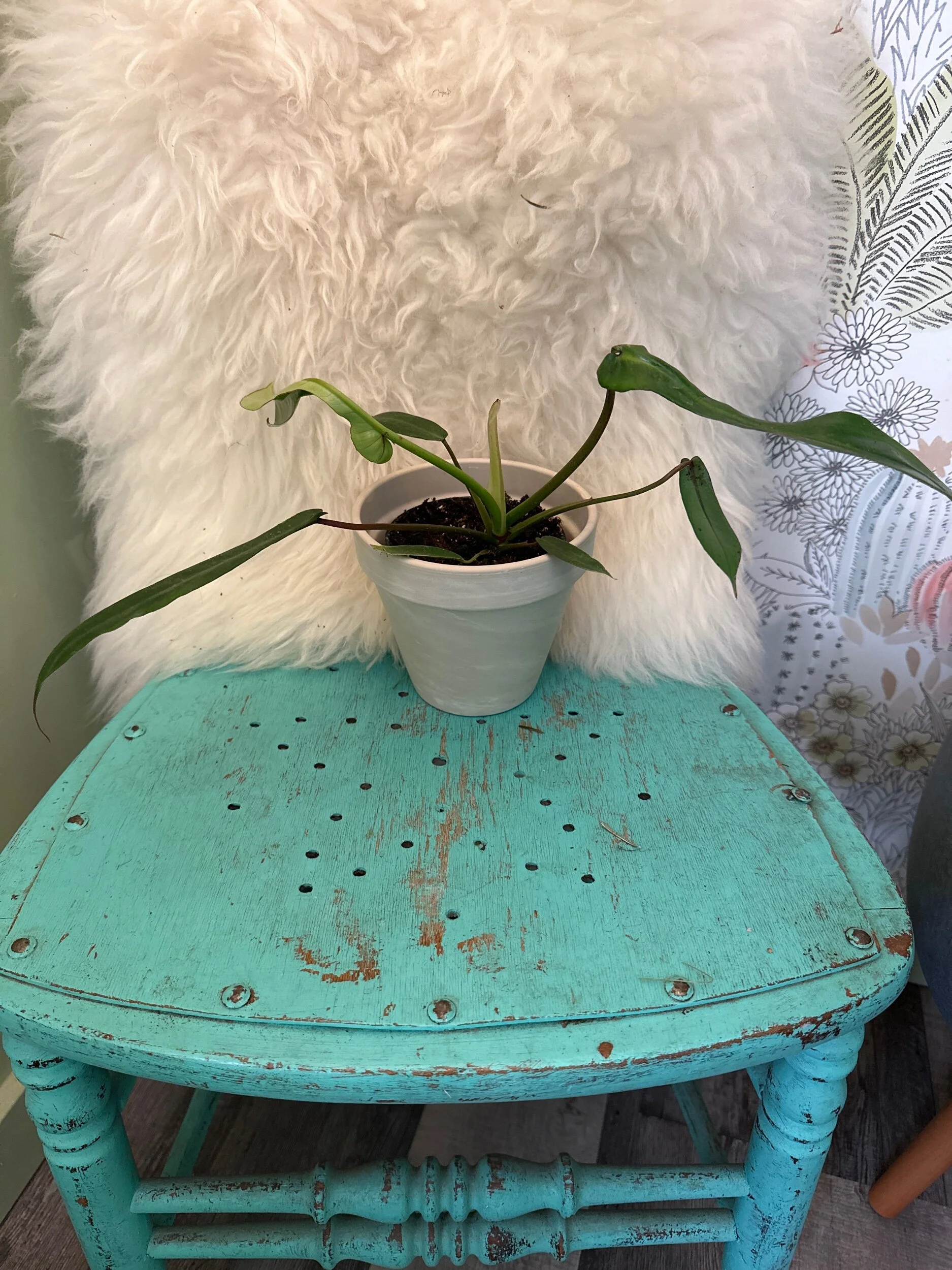 CA1DC596-785D-44E1-BF2C-4512FA695402