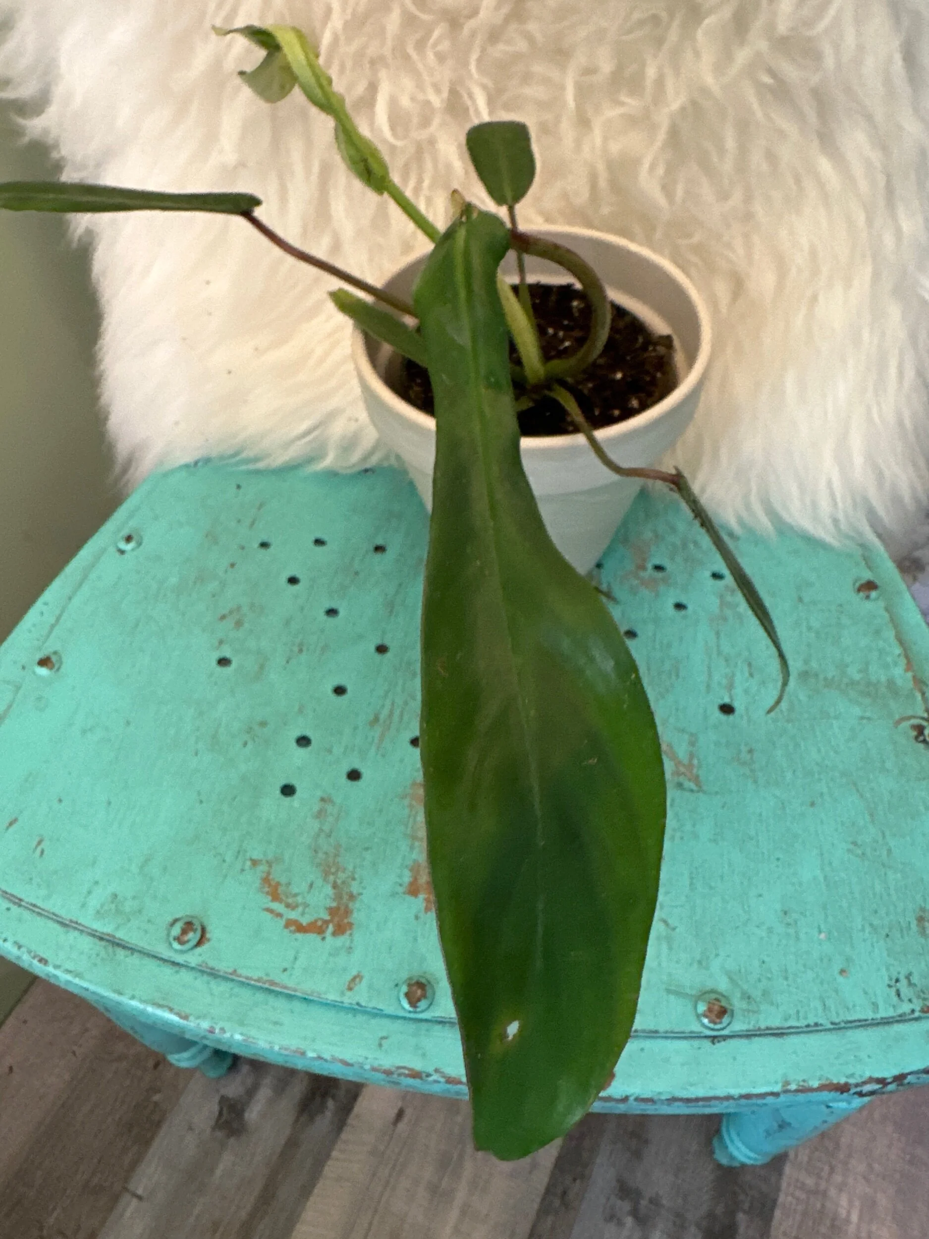 BC37B06C-A6E0-43C0-B82E-095B655FD646