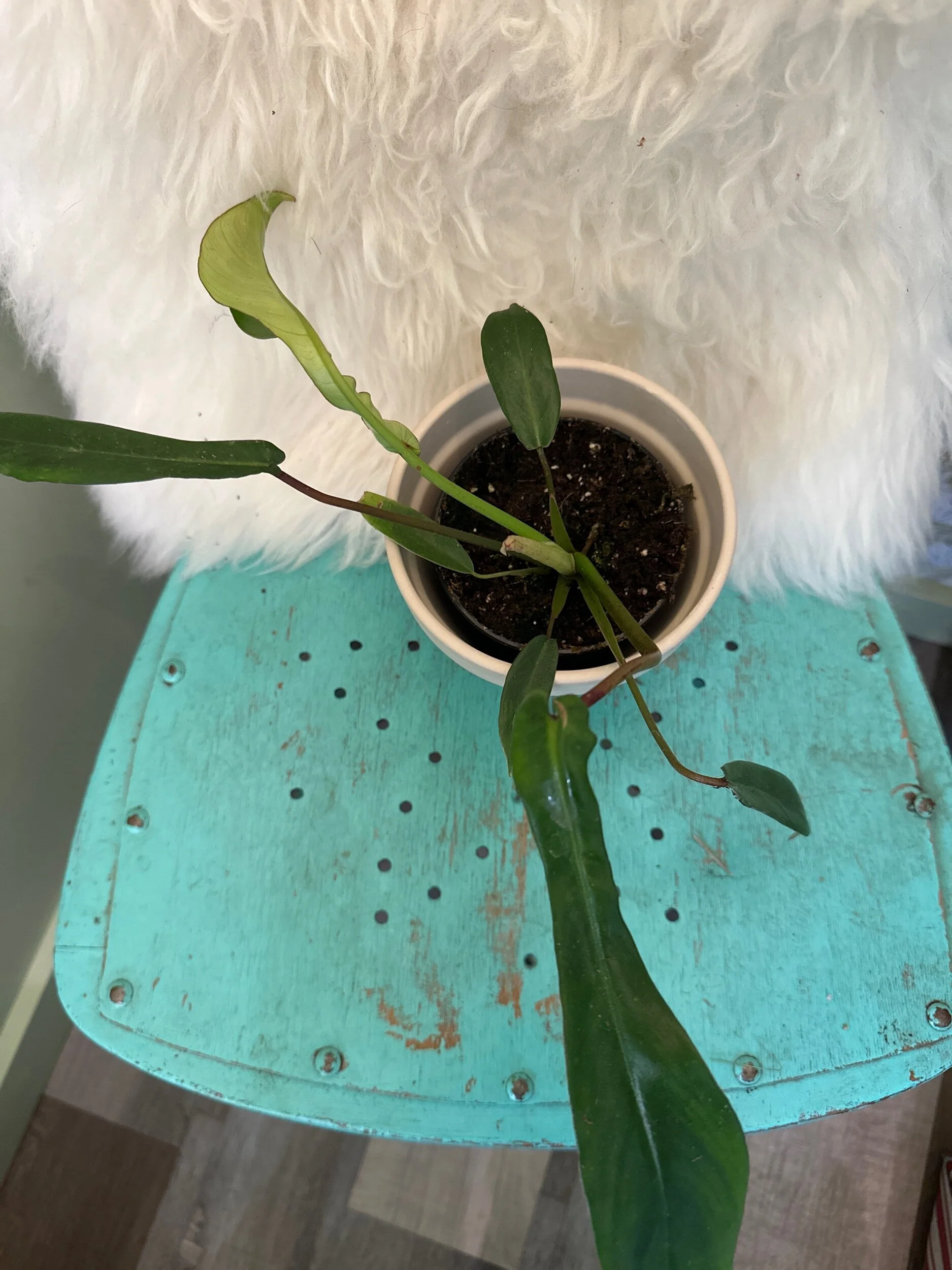 29978E69-4BD5-4027-938B-0B9D9FFA279F