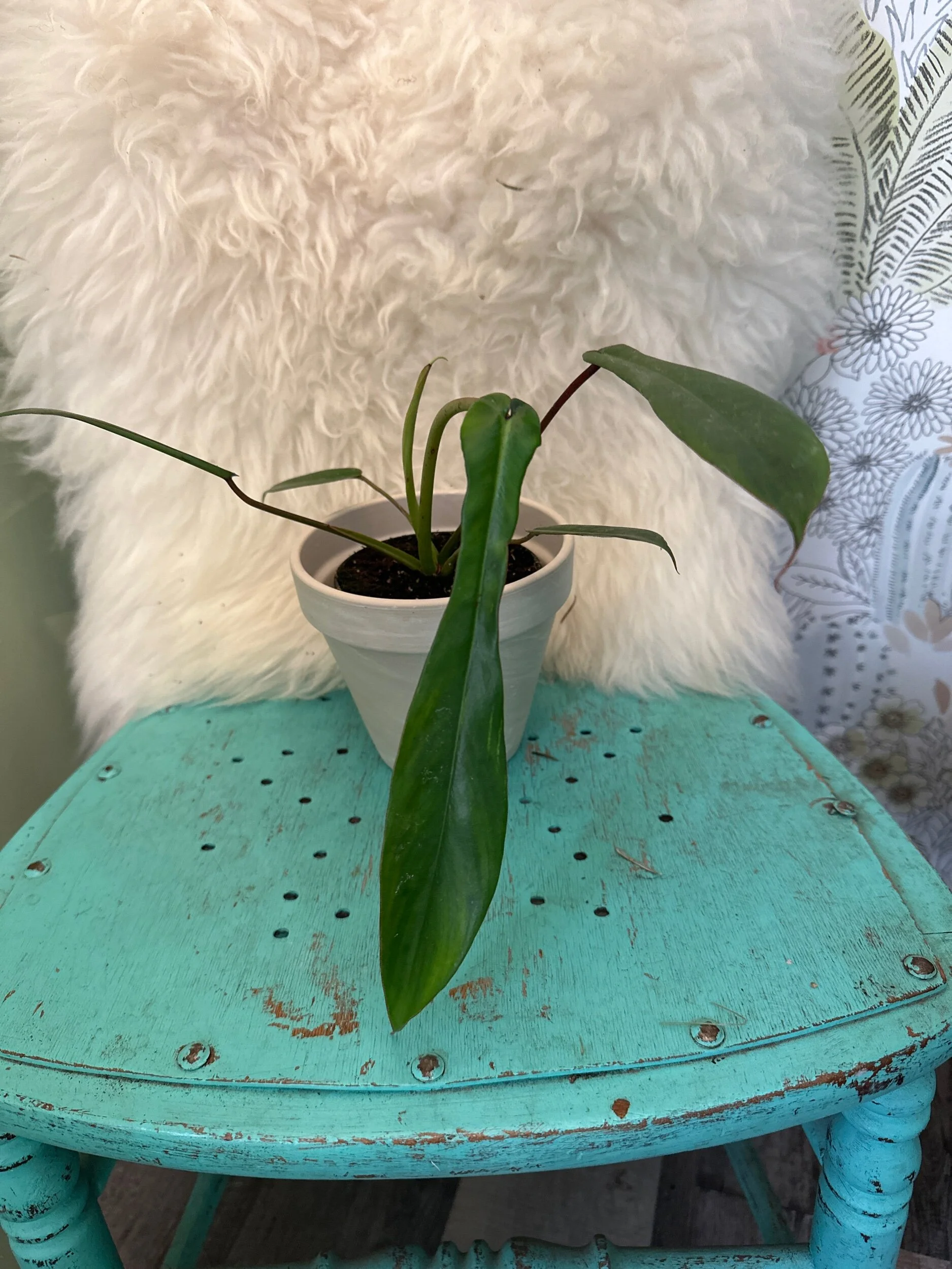 EC4914FD-600F-4EAE-8170-338A9F437185