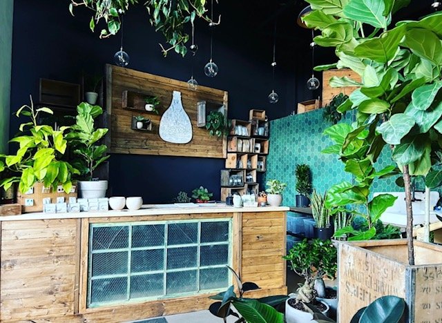 THE PLANT PLACE MARDA LOOP