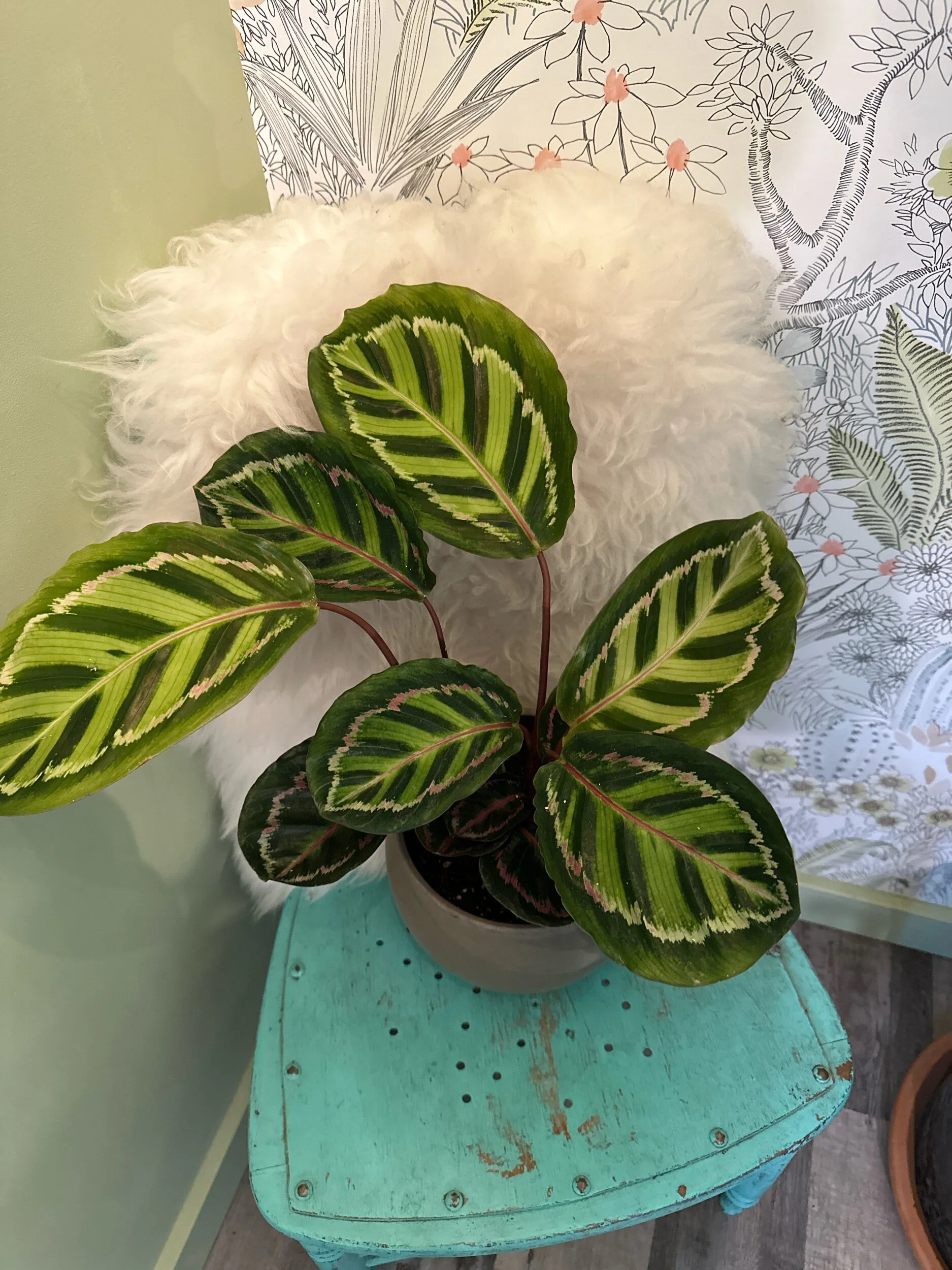 D4E623CA-1EDC-490A-BBC0-2E877D799064