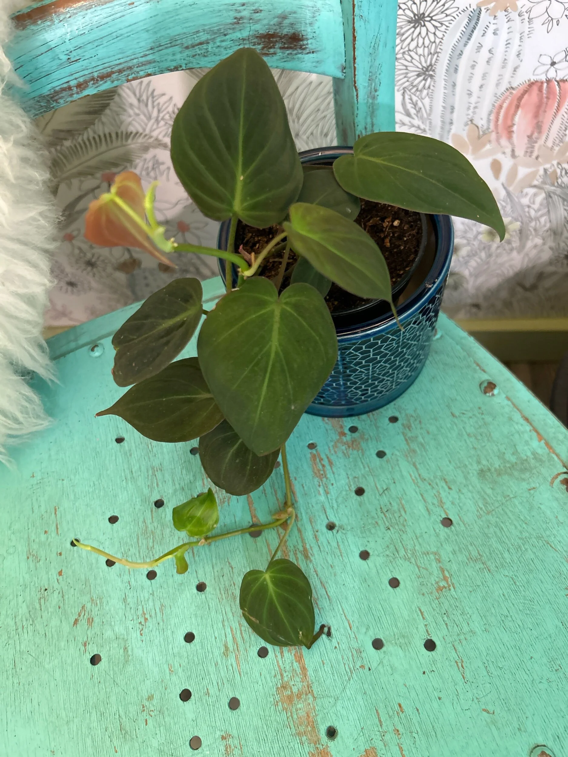 33EF3CDB-E677-4797-AB59-E333125D06ED