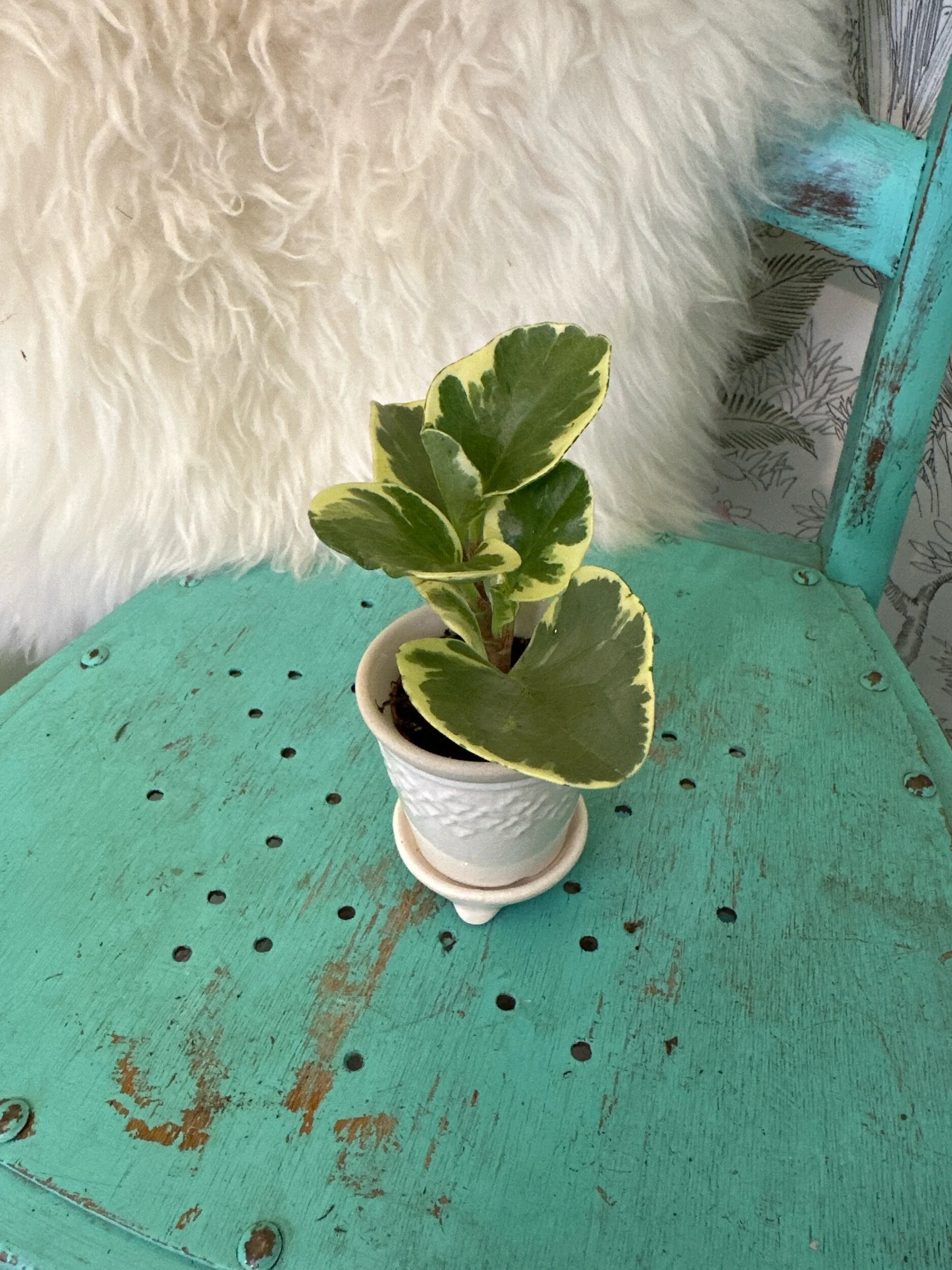 E0E9E95E-AB50-4CEF-89DC-A233EDC6AE65