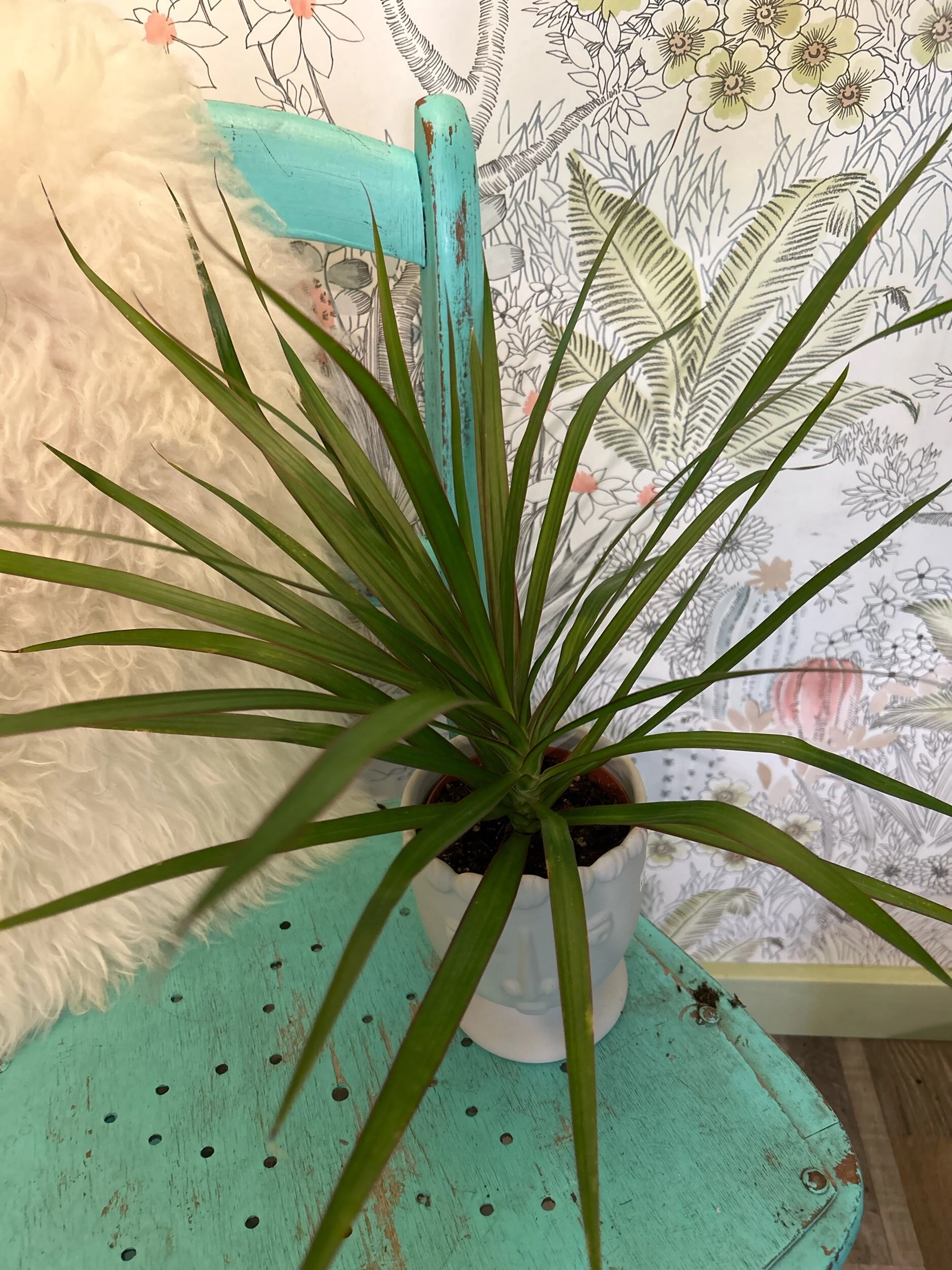 9F8C43DC-2475-45CE-990F-E090BC4C898E