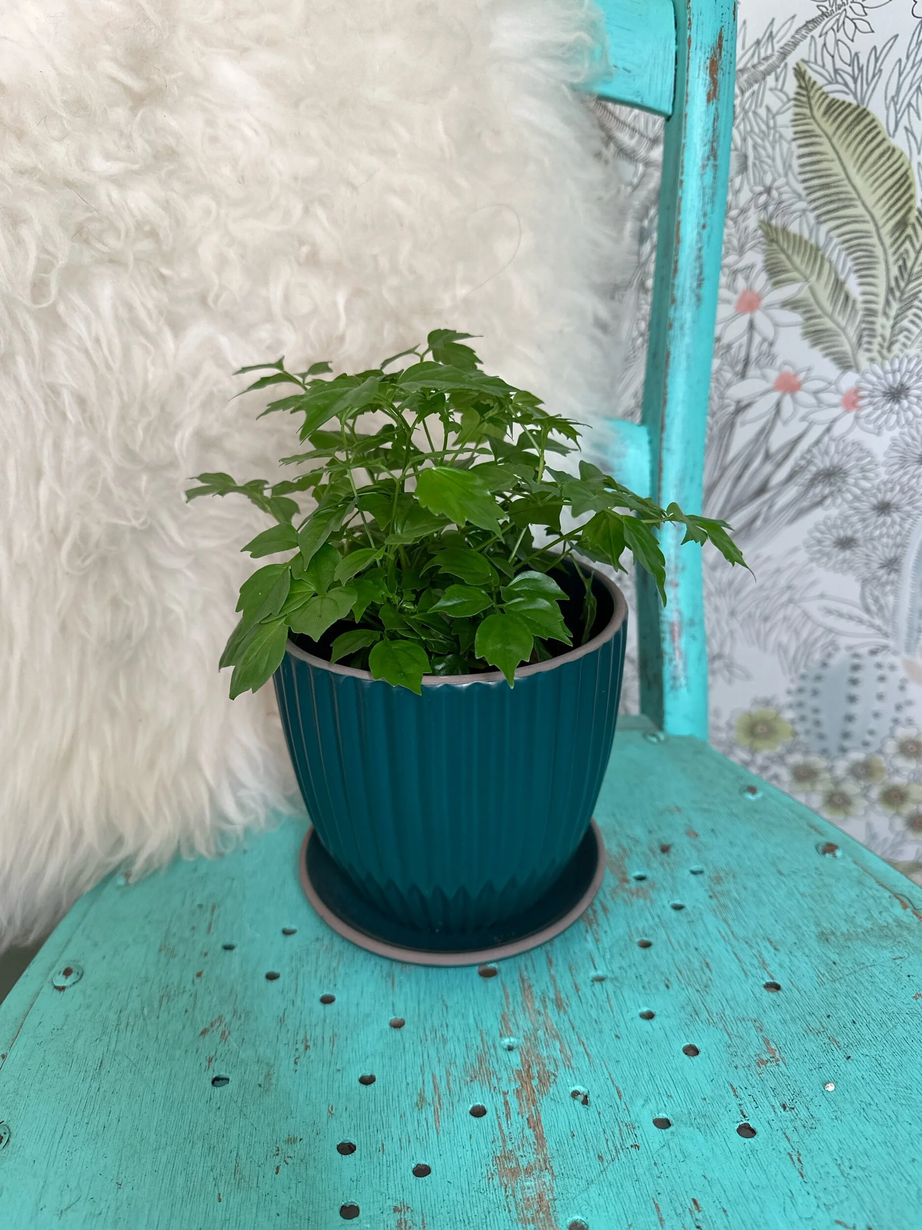 76E730E9-EB12-440D-80B6-3ABA25046F20