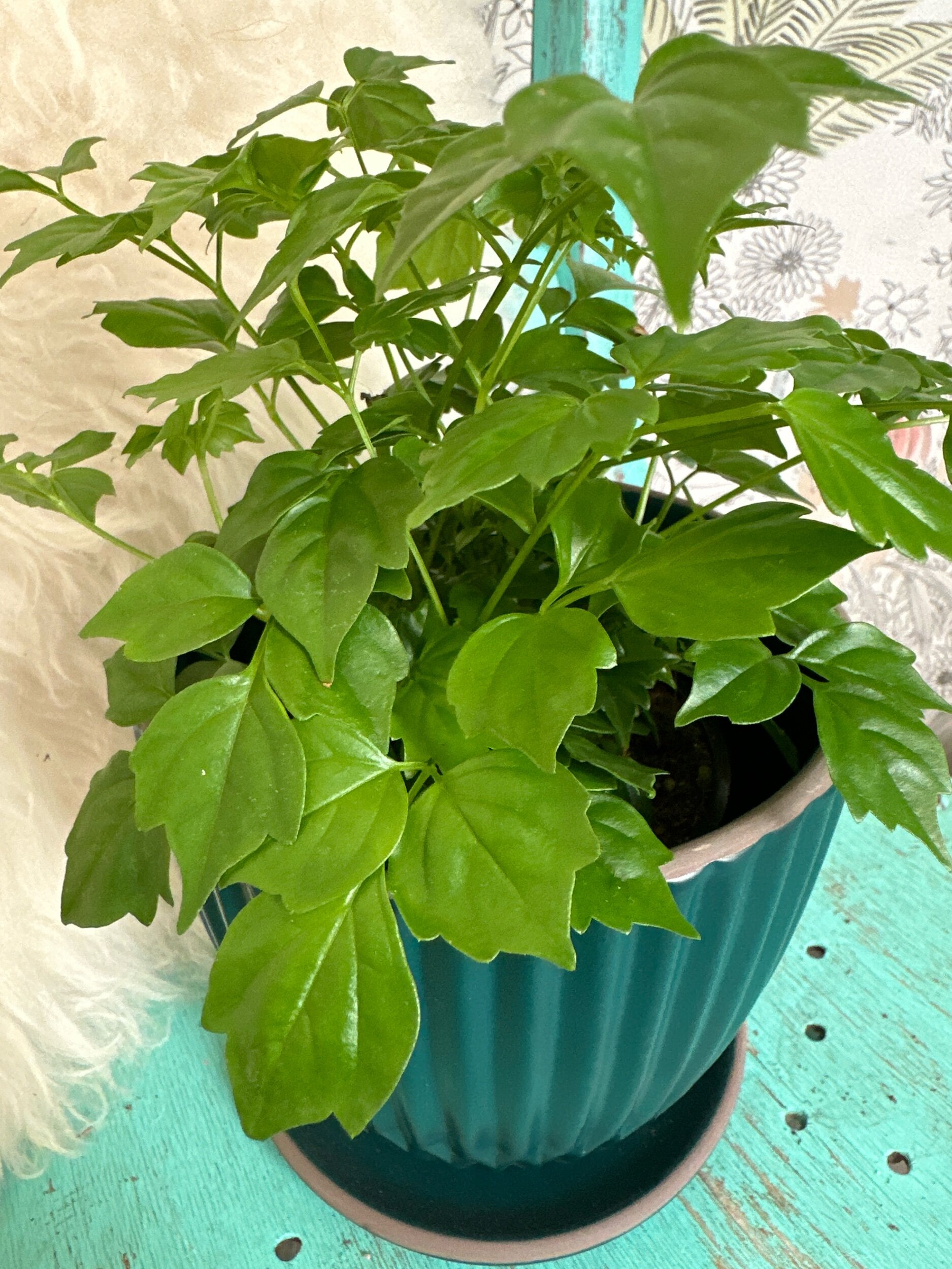 7E62733A-B7A9-41C7-A632-4BEA937CD3D9