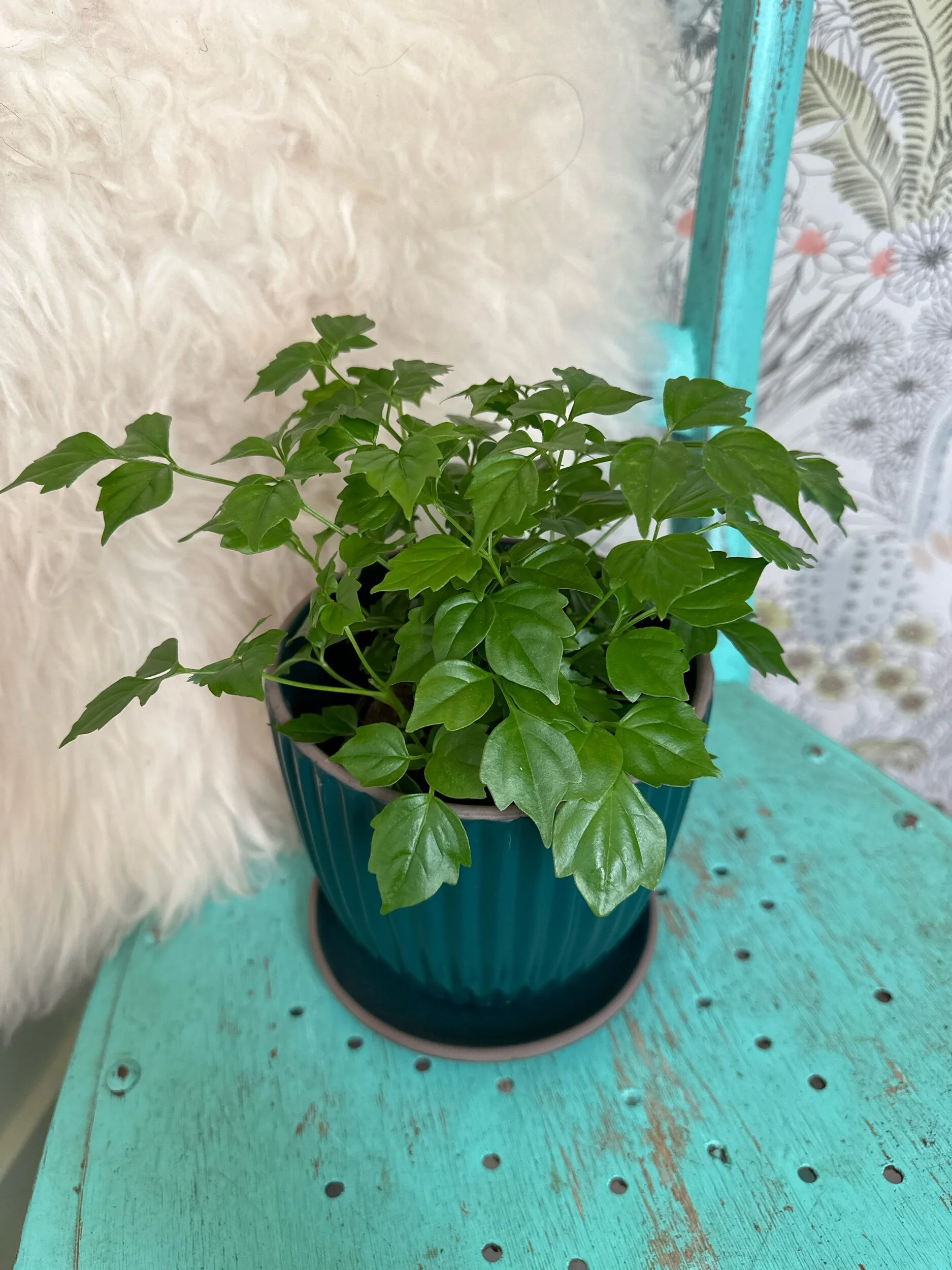 D2EC1CF8-2728-4874-A99B-983EADB1703D