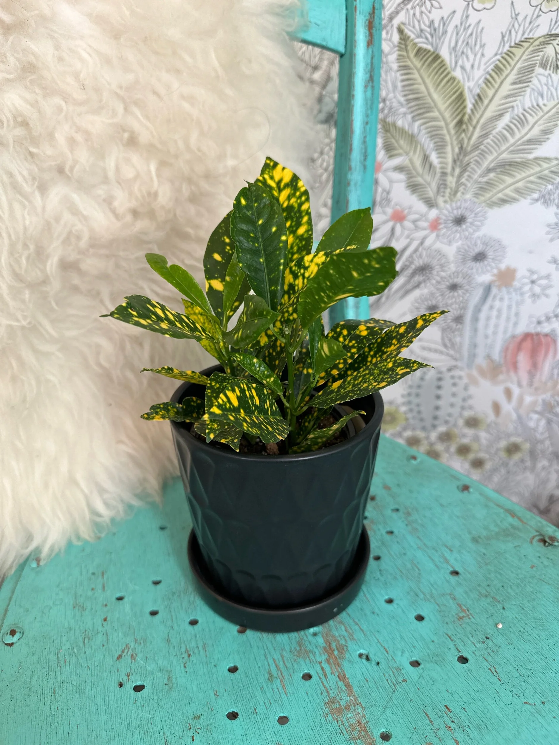 FCF19ACB-9616-44D7-9B2F-B3C074F8CB23