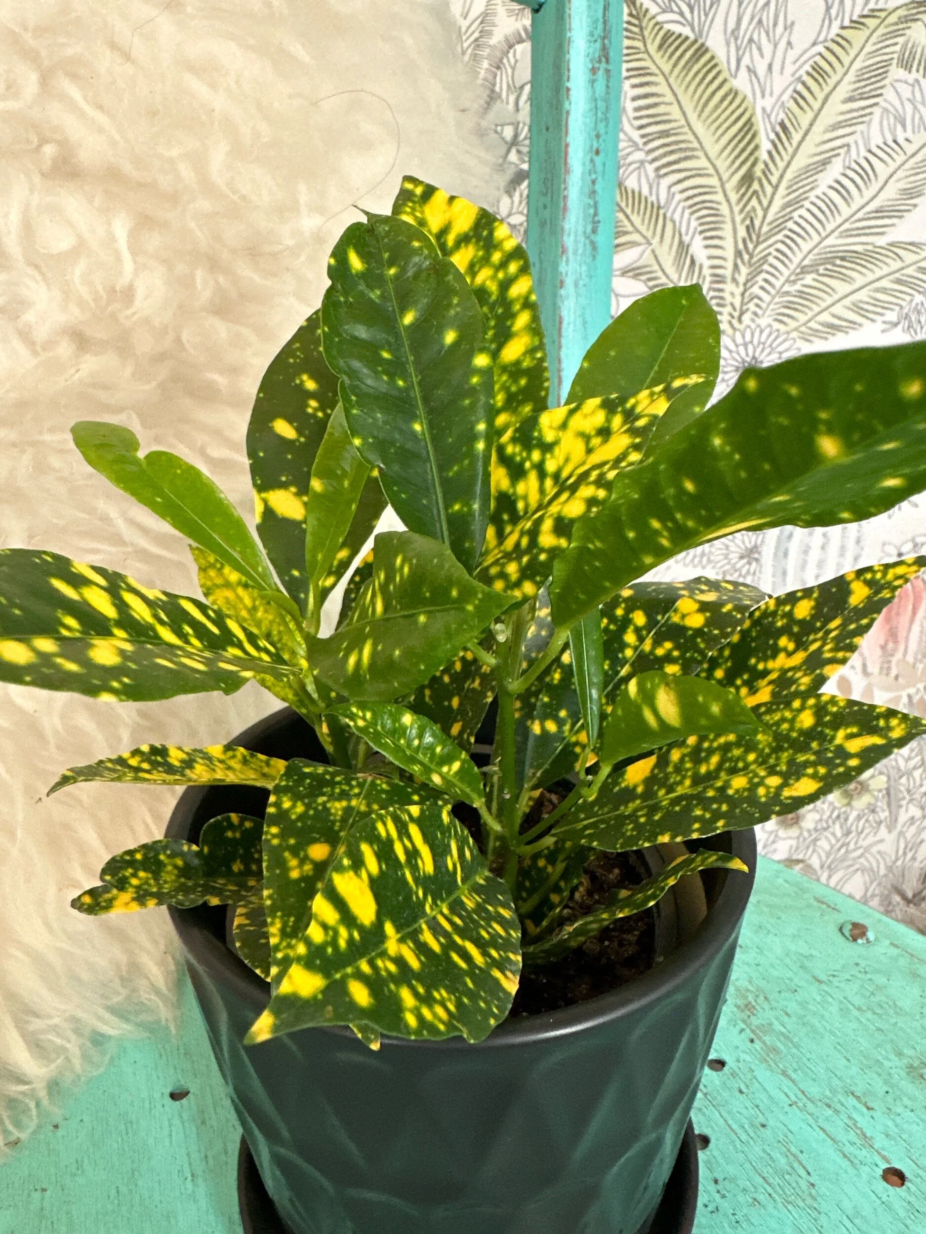 84E02D9F-970E-4134-8252-D4EFD5AE28B8