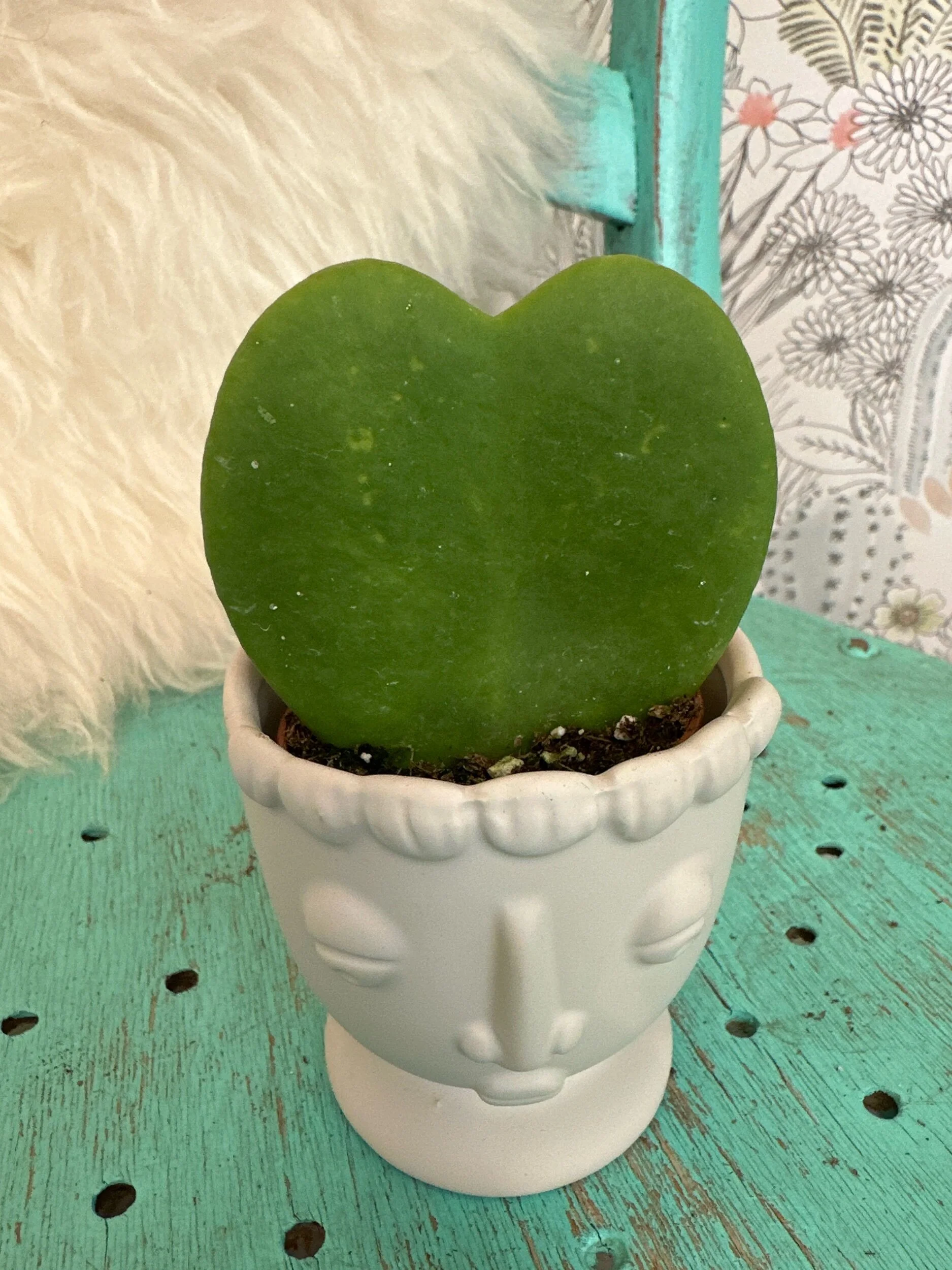 5E2CD72B-2611-4C46-9264-F981080CEE10