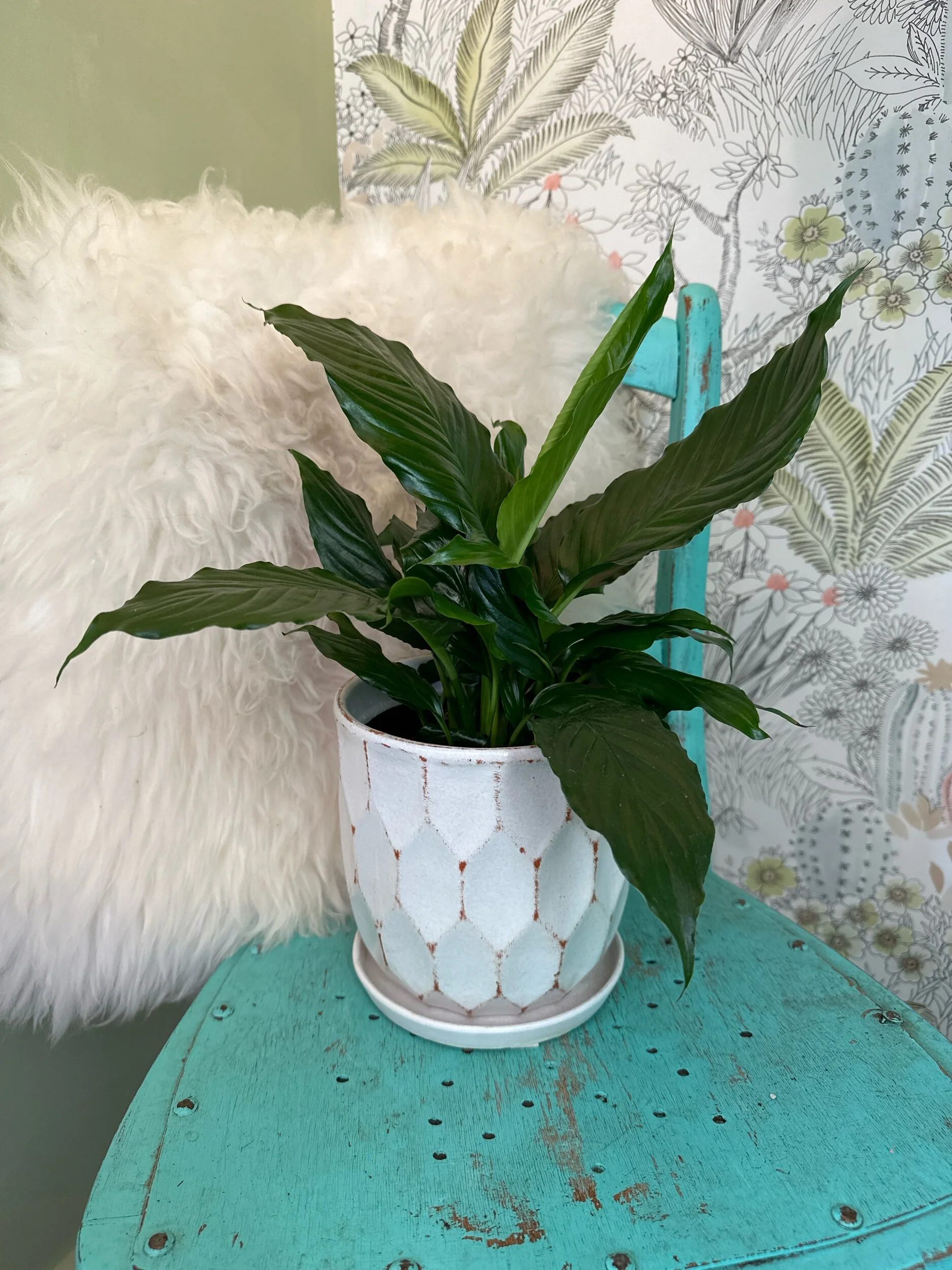 CEEC2F0A-7159-48E7-8A61-7CBC01978198