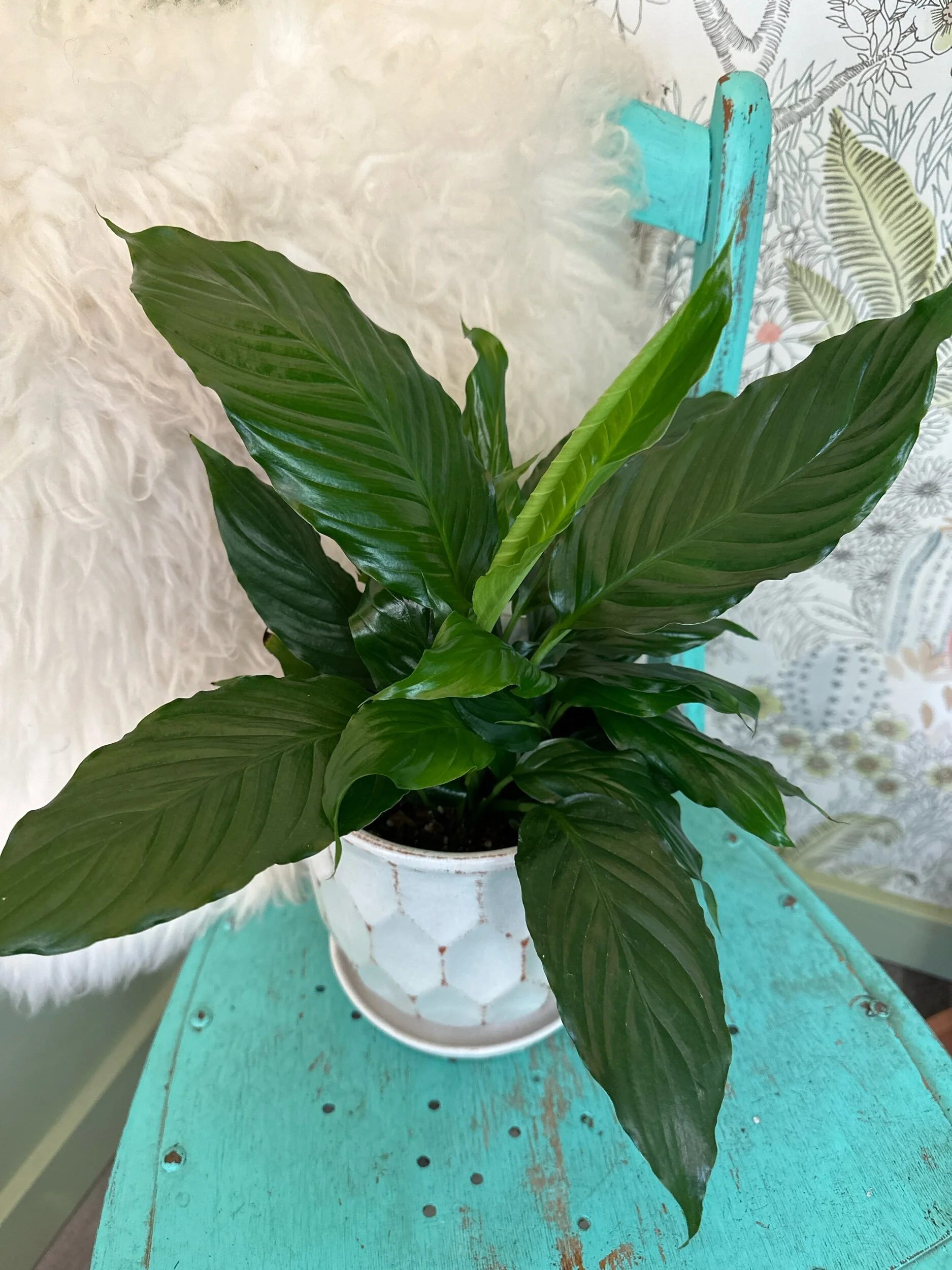 5E900BBF-CAB3-4EEE-A0BC-3472AE123D7A