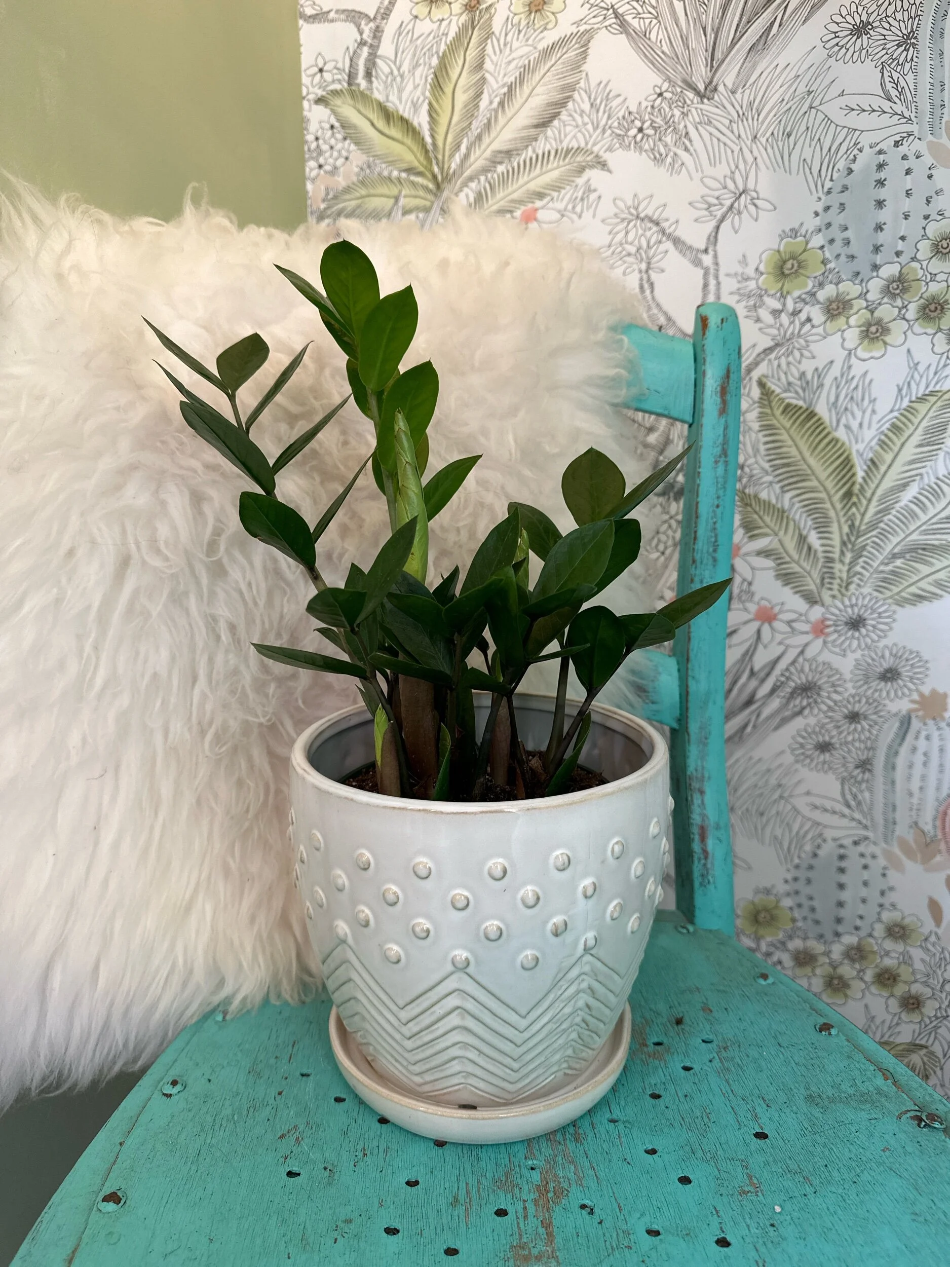 B4EBA505-905C-4B5F-B975-8668B60BB877