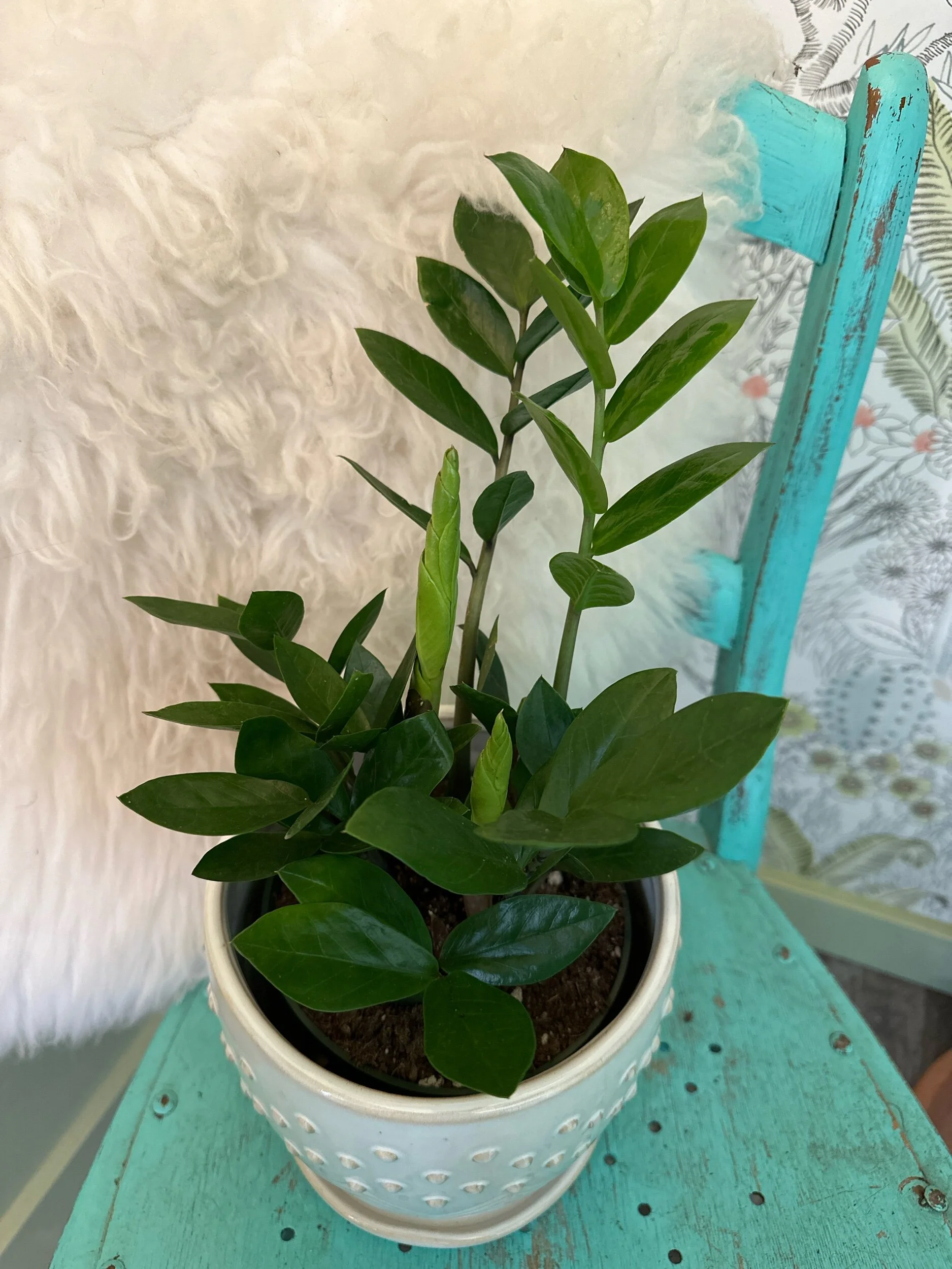 5F7D7A58-065B-4216-90F6-B986EF09AF1C