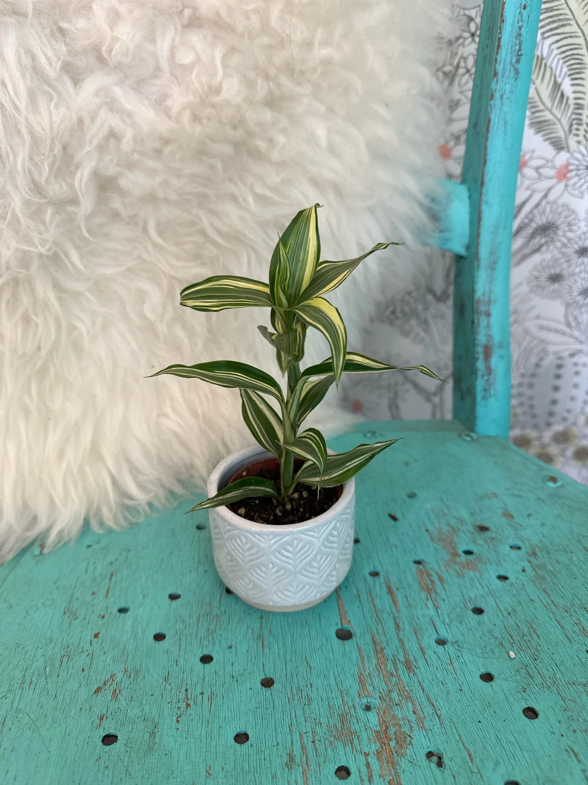 20EC12CD-A66B-40DB-9C6A-0FEC87656BB5