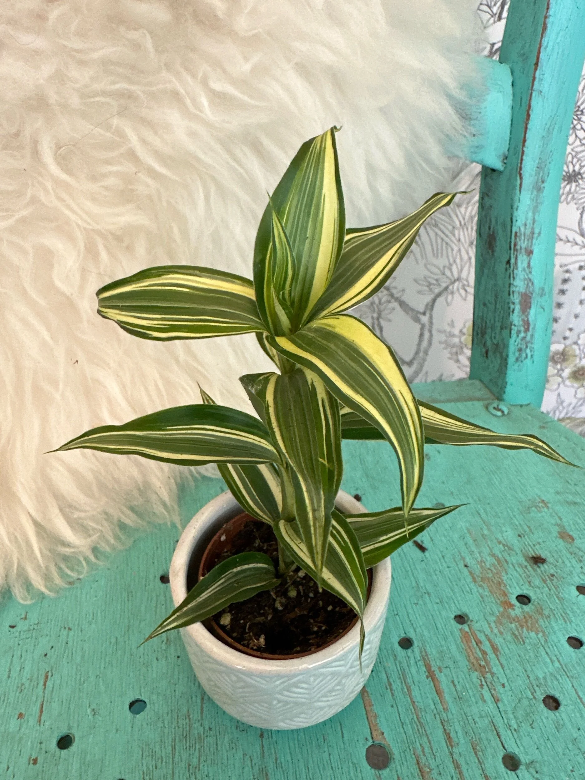 B28E7289-7D24-4EAA-9B50-C7C94489A9D9