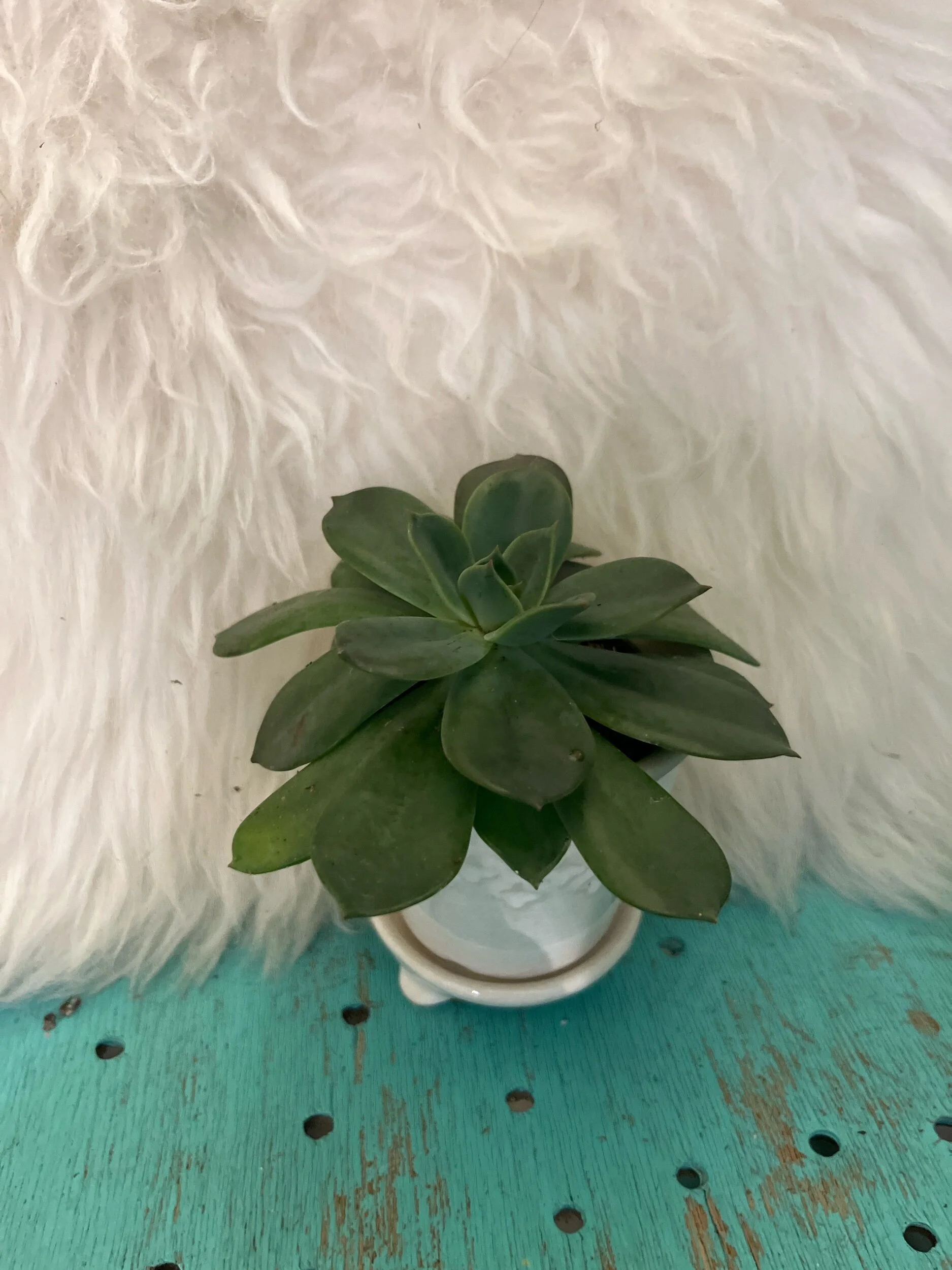 433EDE8C-2ACB-4763-BC90-22B372294589