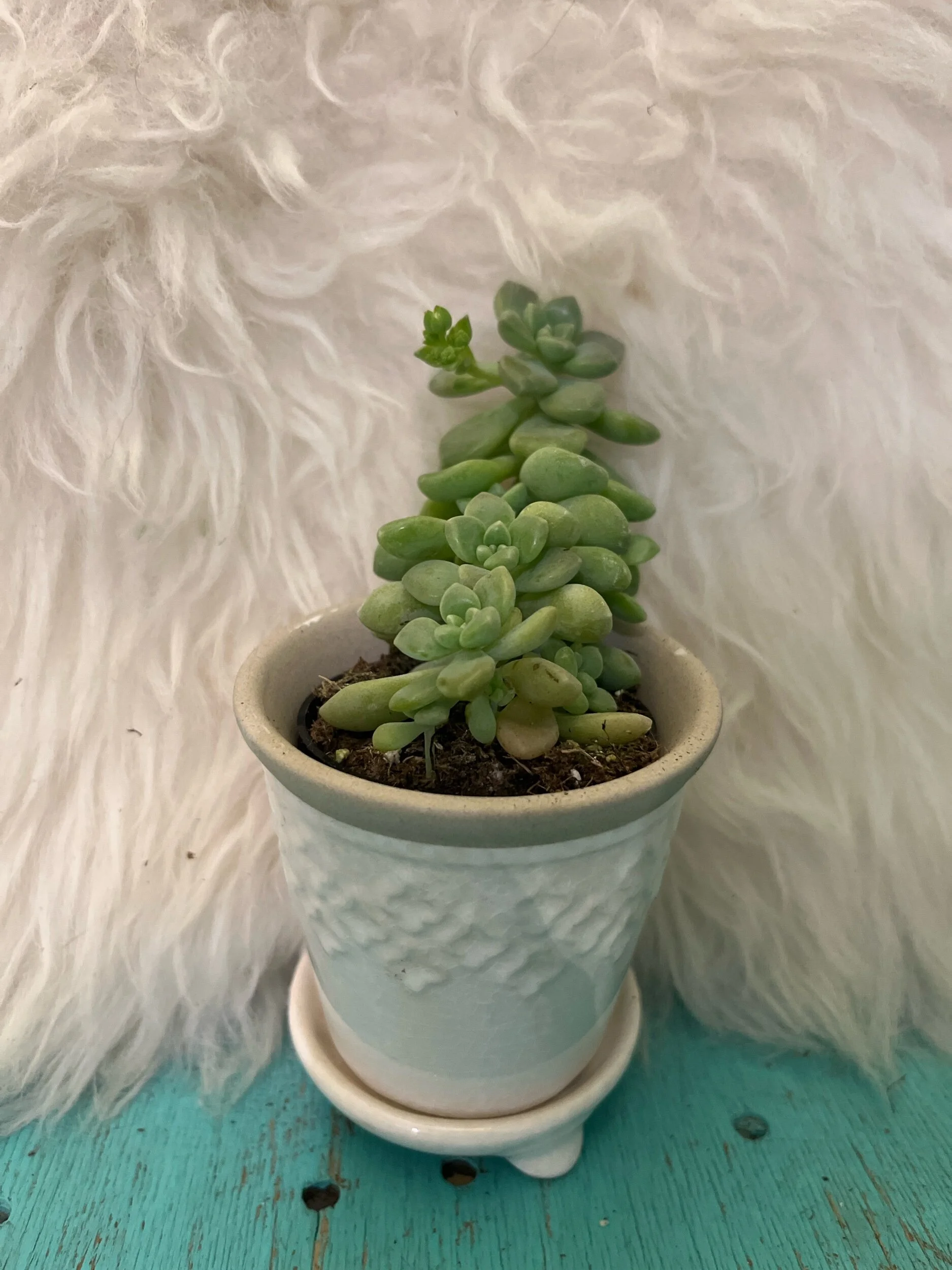 BB078A1D-6CC8-41B1-B3A0-9EAD01BAB8F2