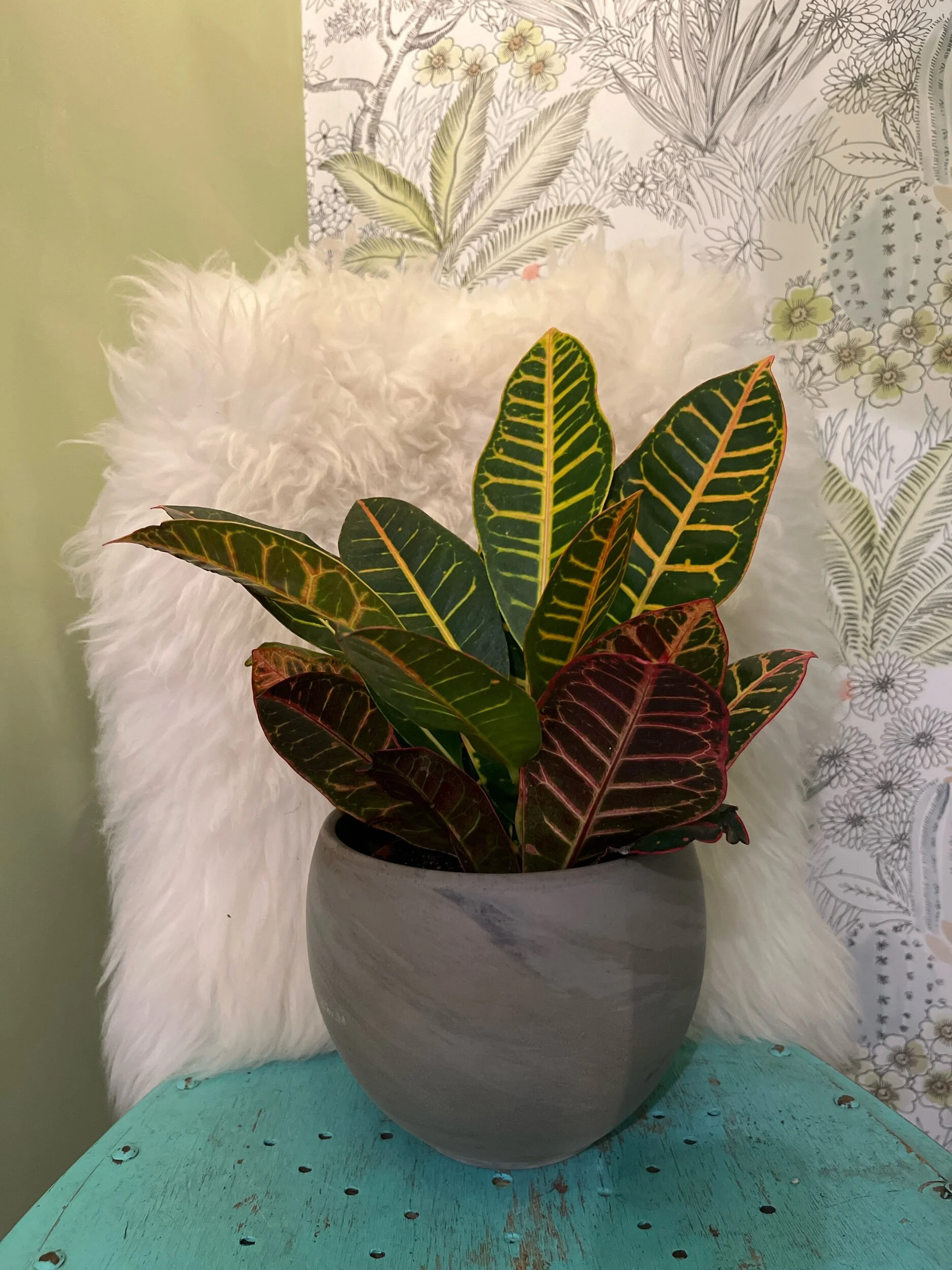 792148A4-74D6-4B45-829F-B966DA8B977D