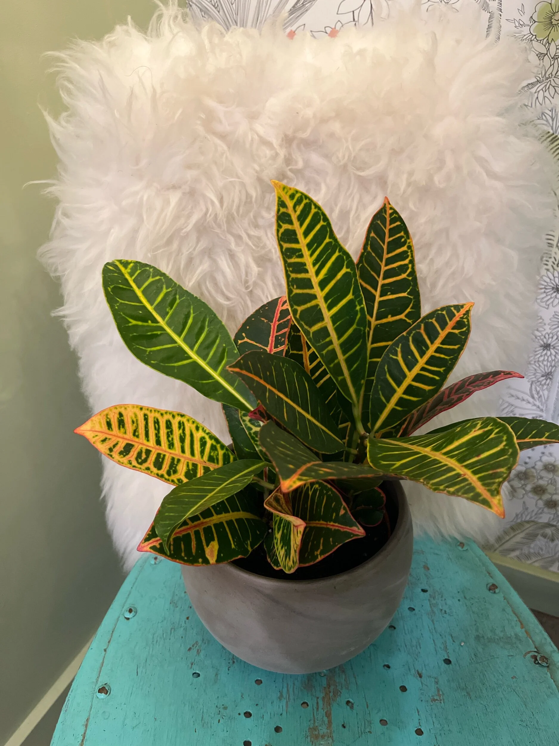 90EE5D05-5336-4F27-9085-11C6B95325A0