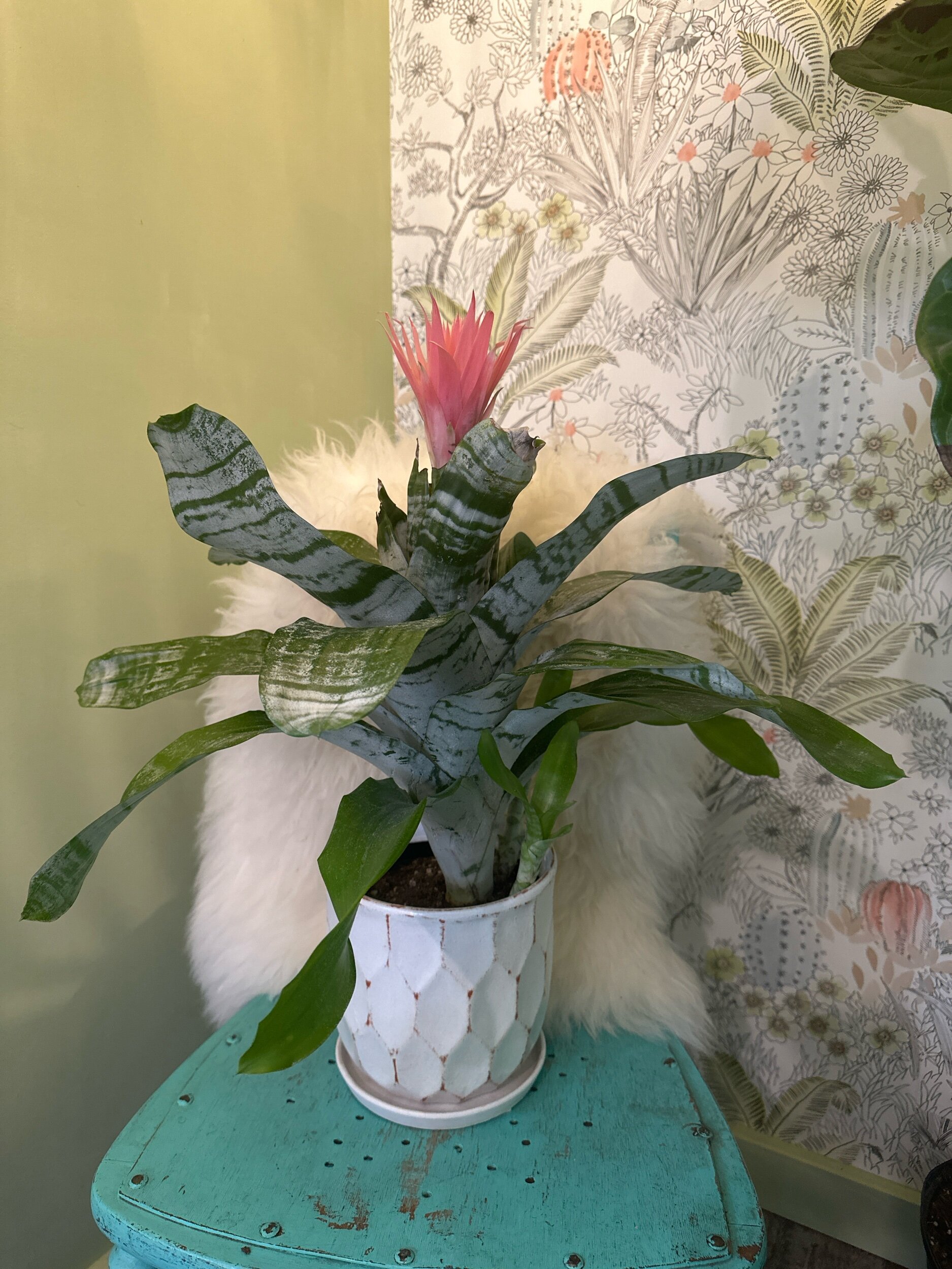 BE197669-6D31-48FB-9C6C-CA92BF63BAA6