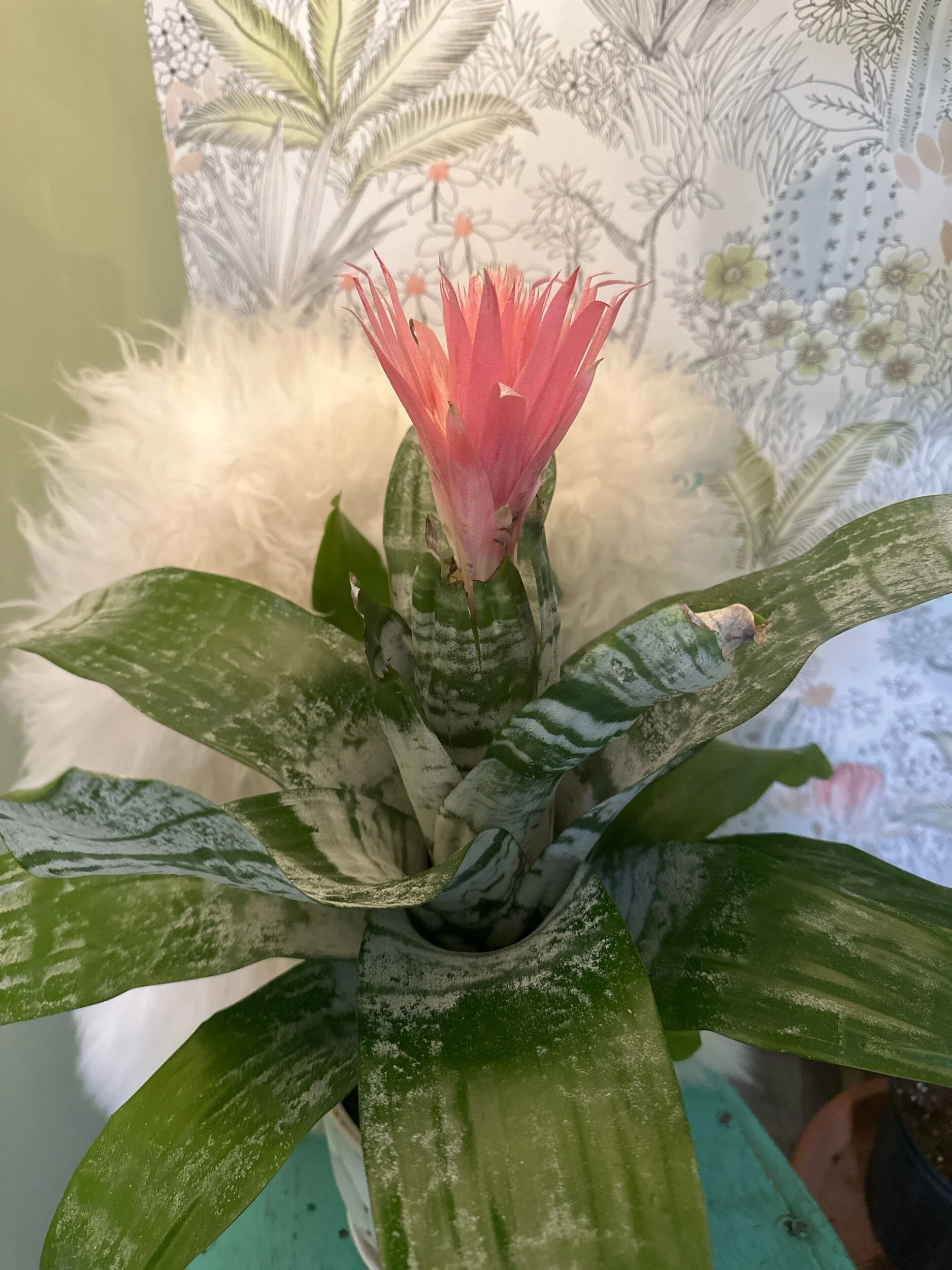 68250CE2-E4CE-4C36-A6D1-2CD874B43BB0