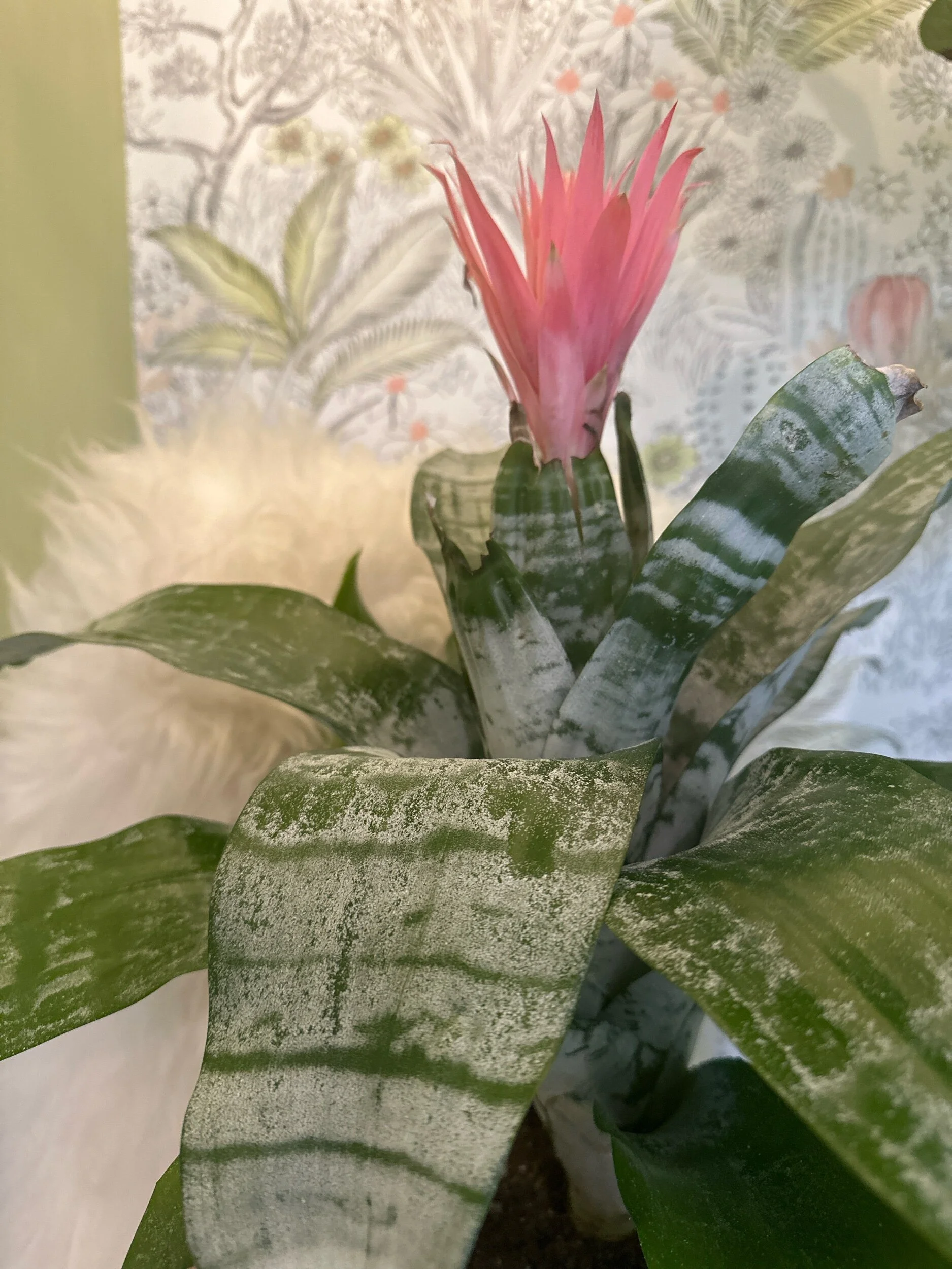 8C228B7D-978D-468D-A616-B6B9999B1451