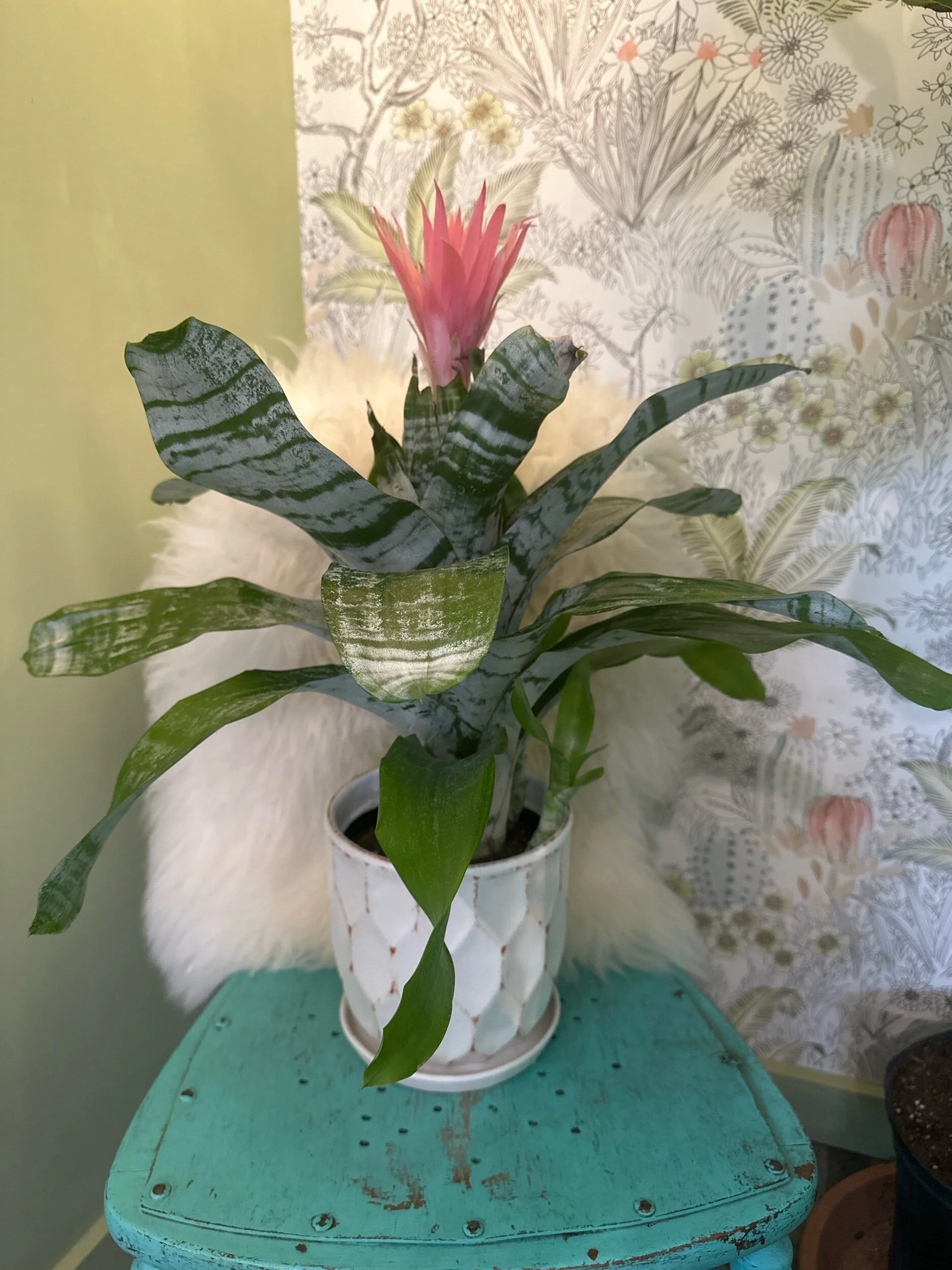 21BDFF2C-3344-4BB4-8F2C-BA7E4AA497FD