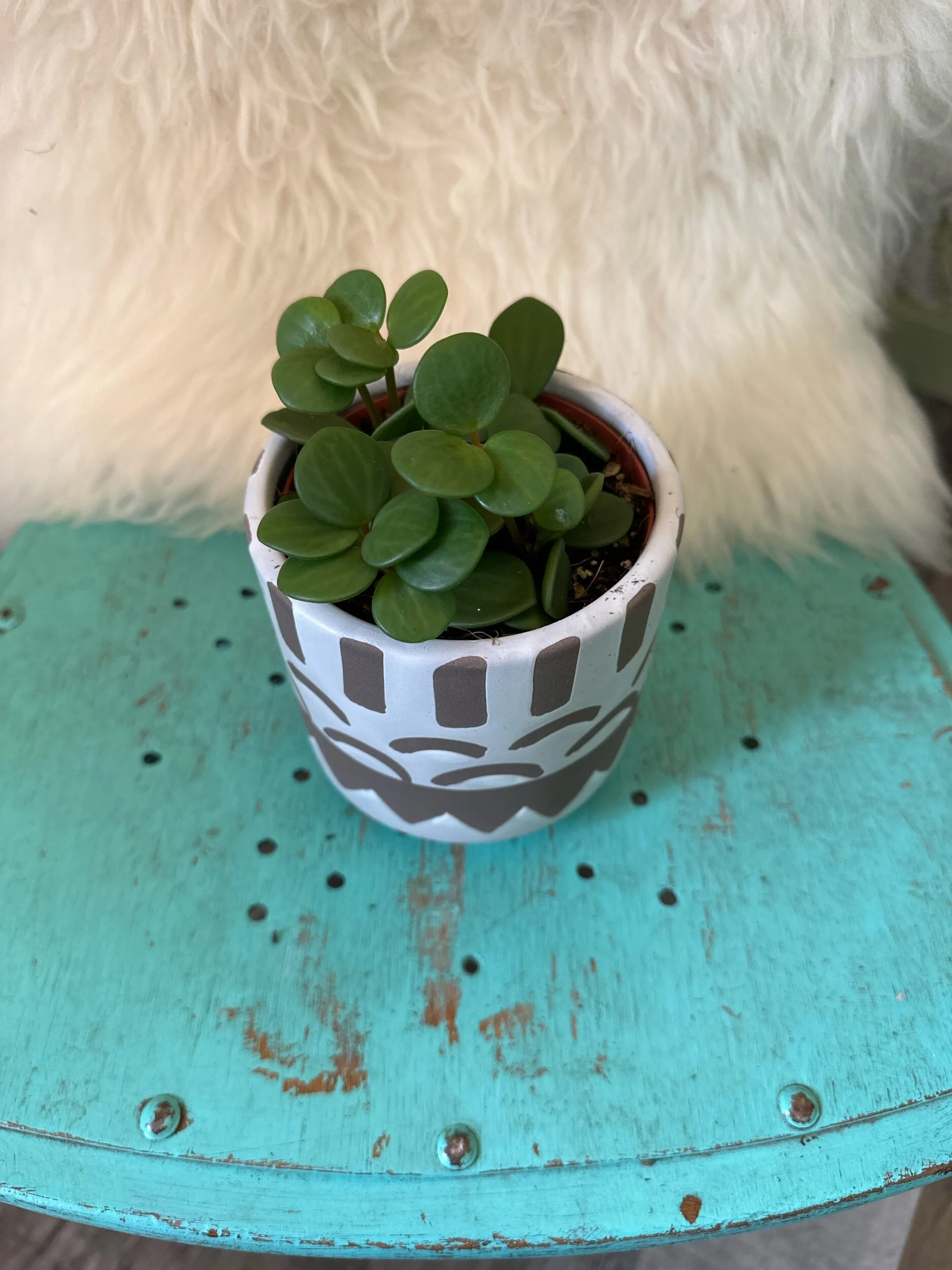 92640E04-5441-4DDB-B9F3-1ADBEF9F735A