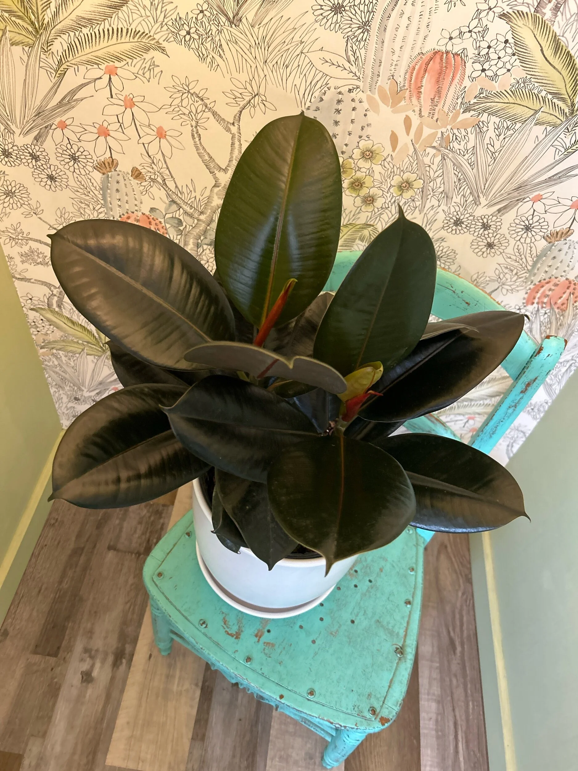 55EA5CF4-32E5-4643-8F09-7B815771A1CF