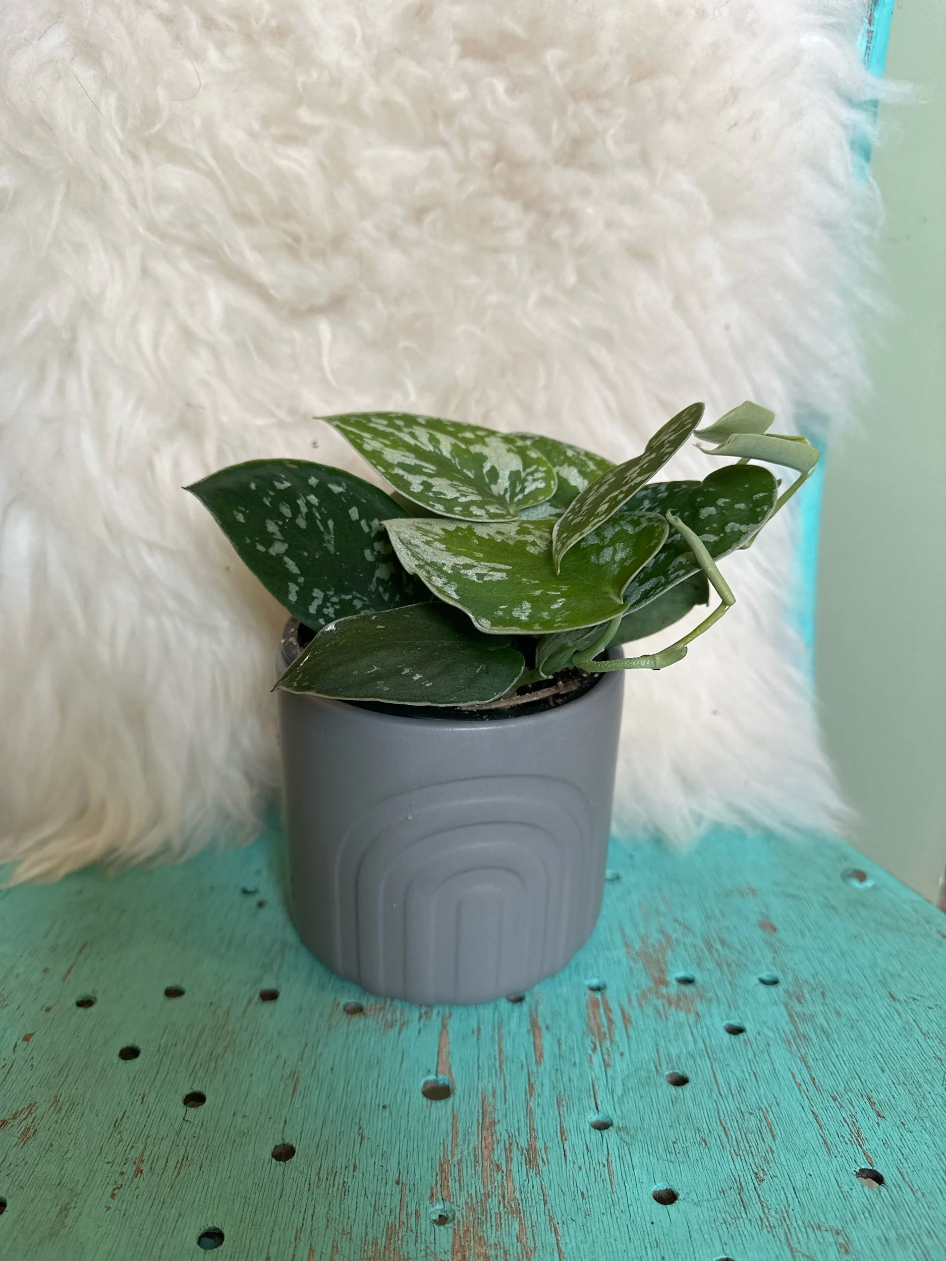 C39912AF-49AC-4B91-BBDE-CB88790A0F6A