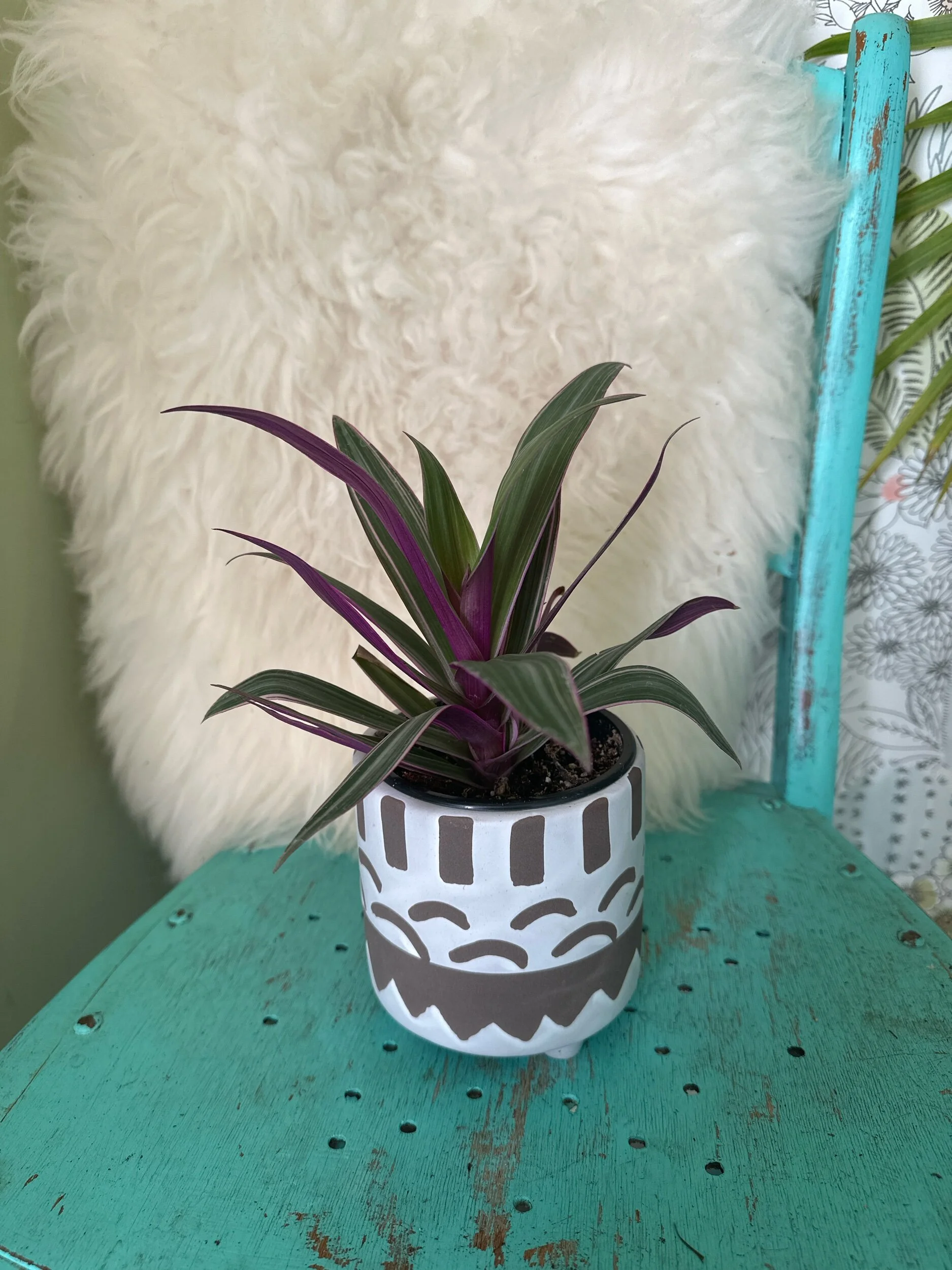 158A715C-99F4-4858-A2EA-9151A9AE1914