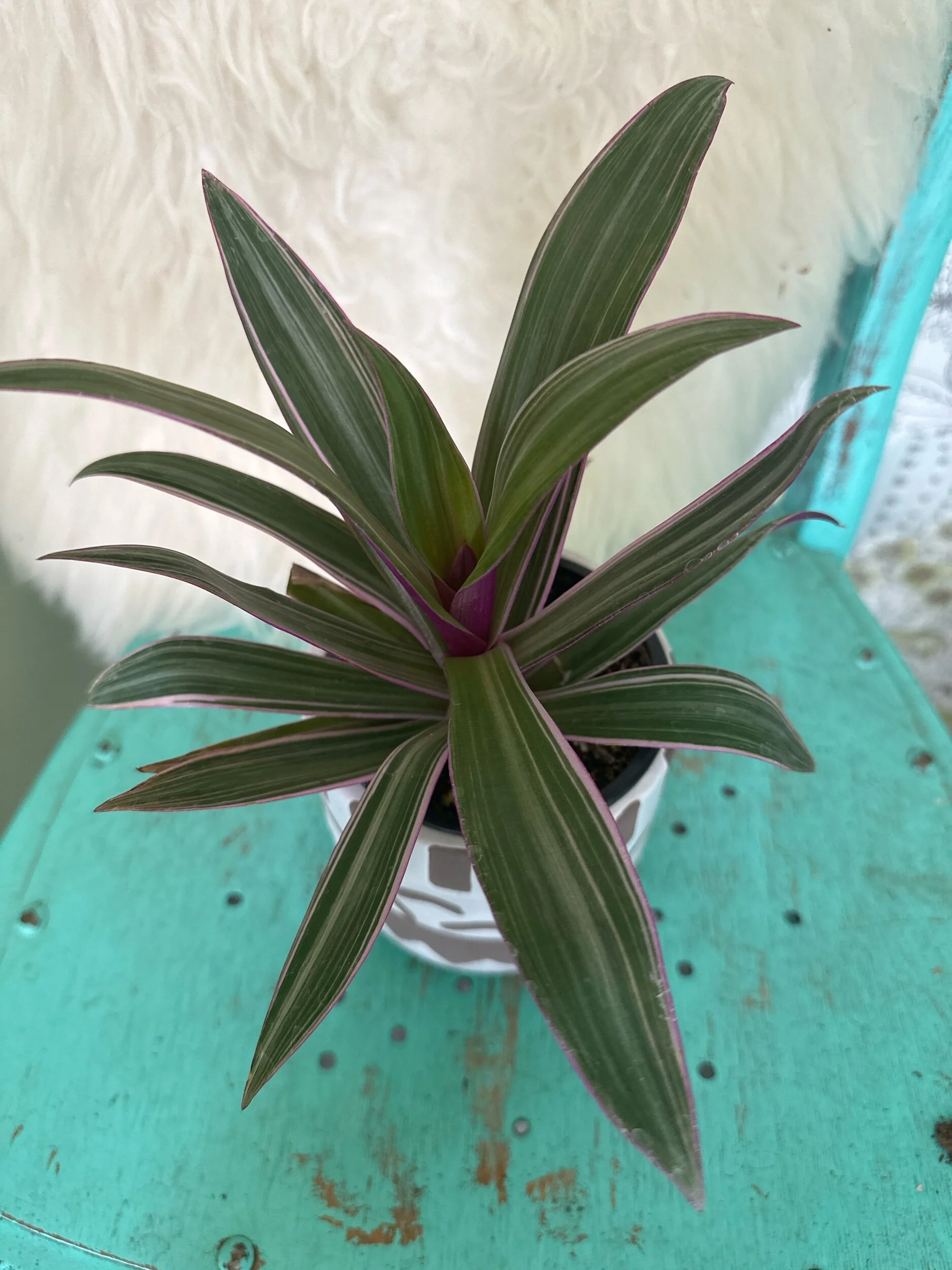 71D14723-020A-49FB-99C6-7A1A547458AB