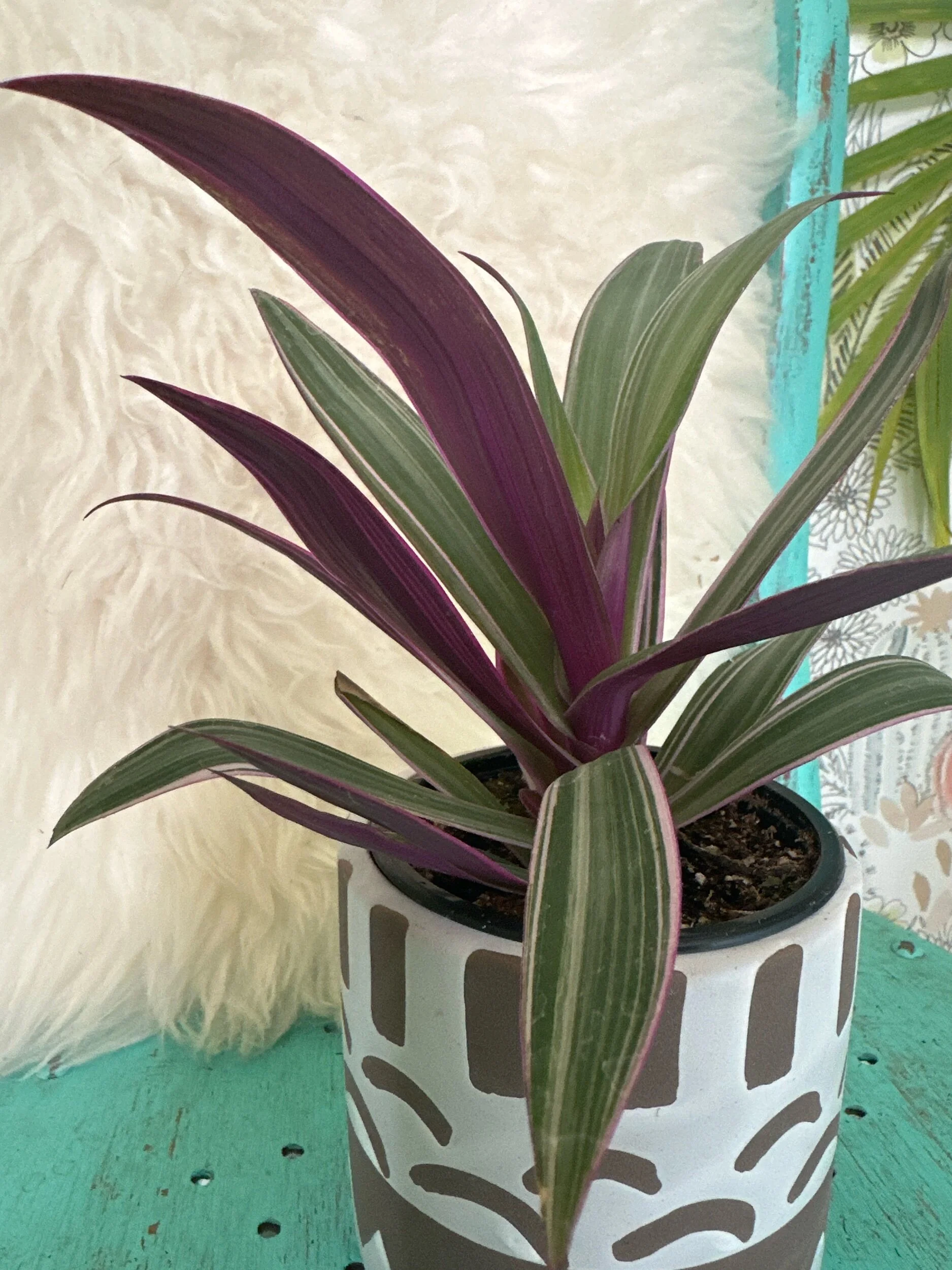 411E95C0-612A-4C82-A31B-37F144C9846D