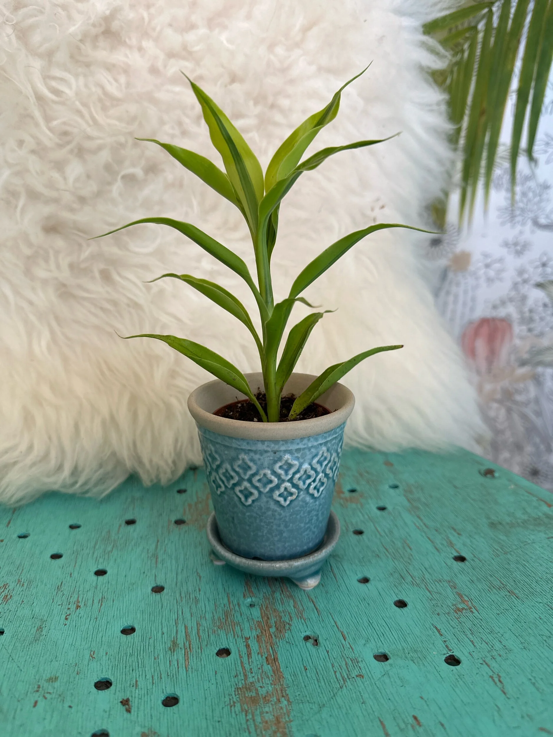 8C78C449-197E-4F94-A57C-7CDCBB1CE40B