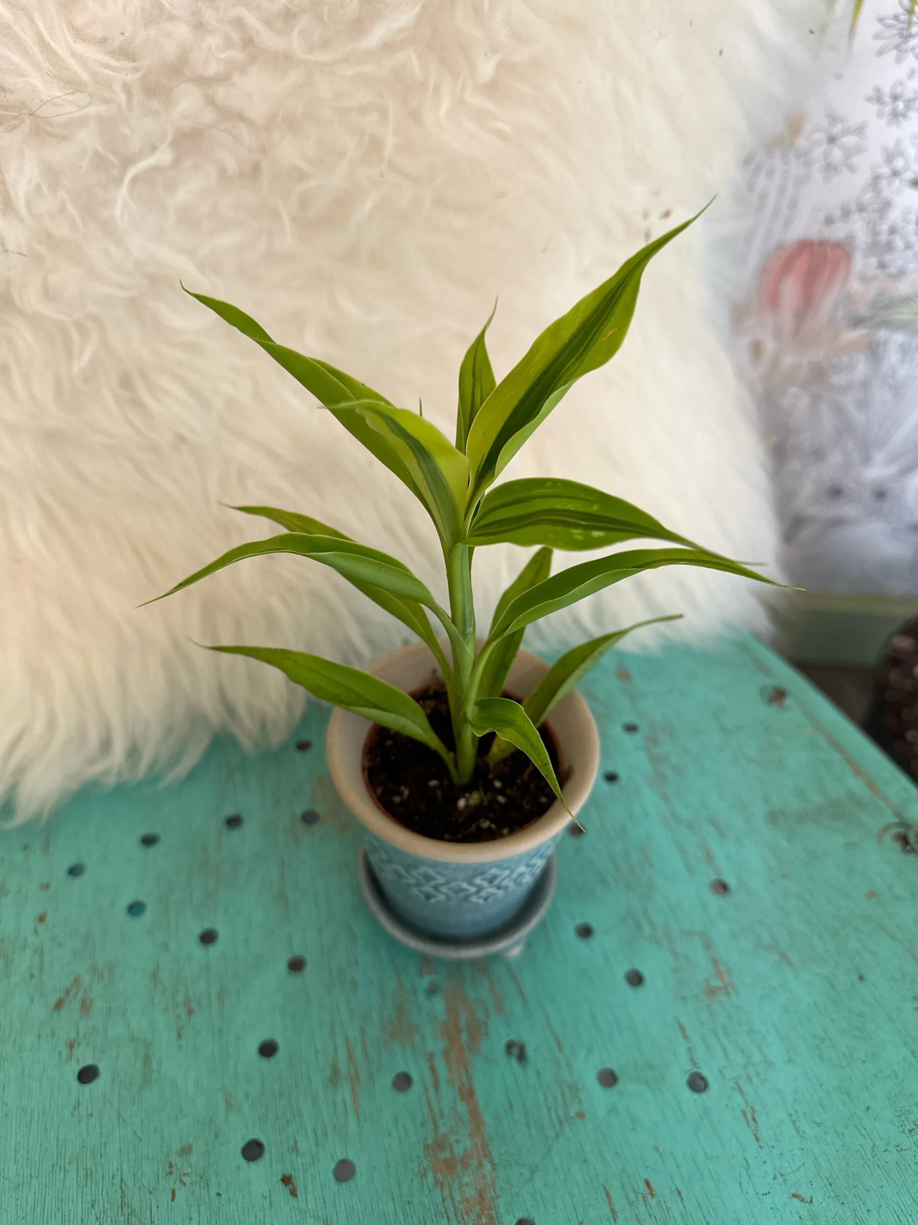 A850646F-158A-49FC-988E-6649CF0EE540