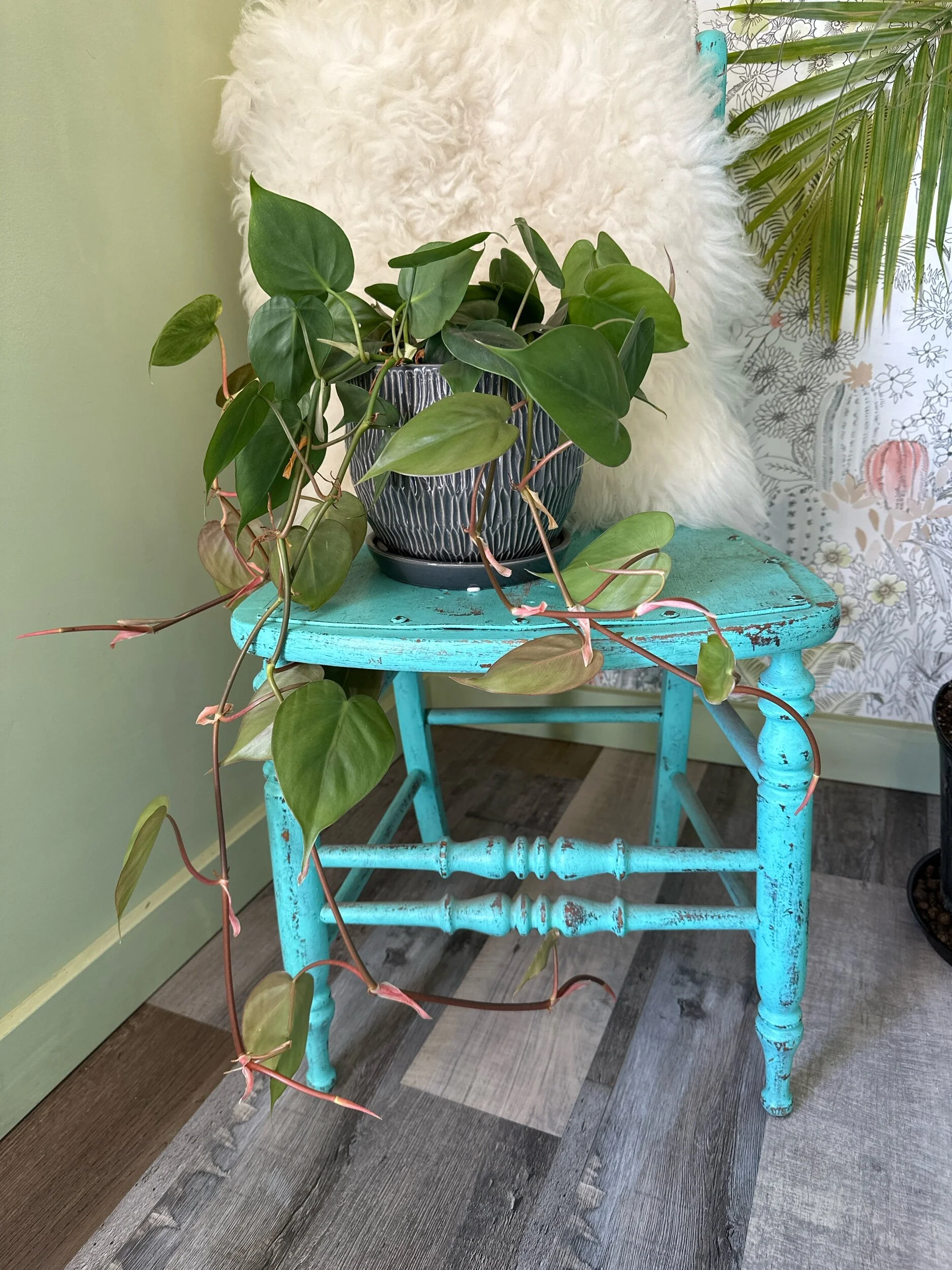 A184CD27-BACB-4DE5-81E5-EB9490E9F5B7