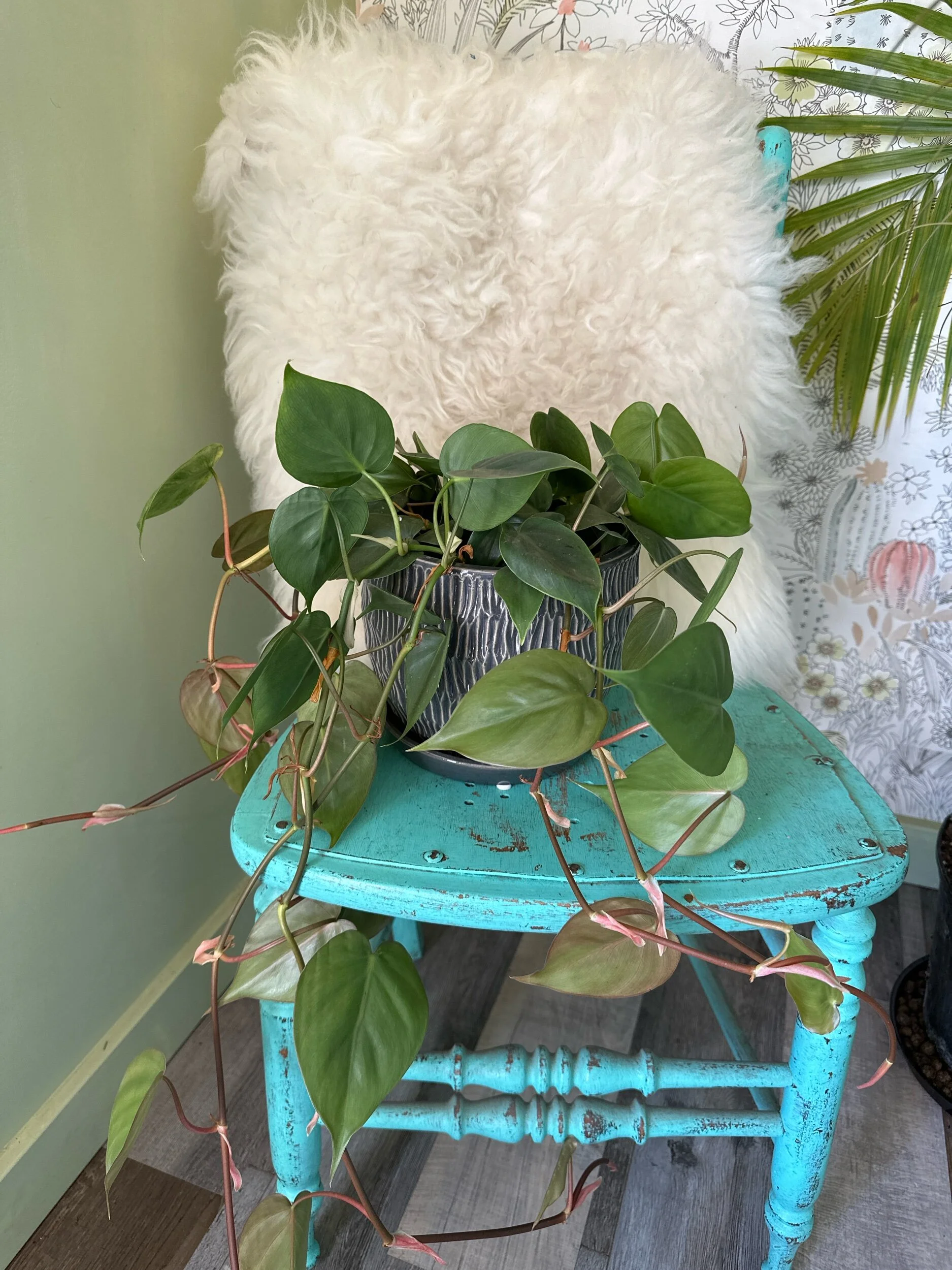 F0608B5D-8DDD-4503-950F-9C9B5FF2545D