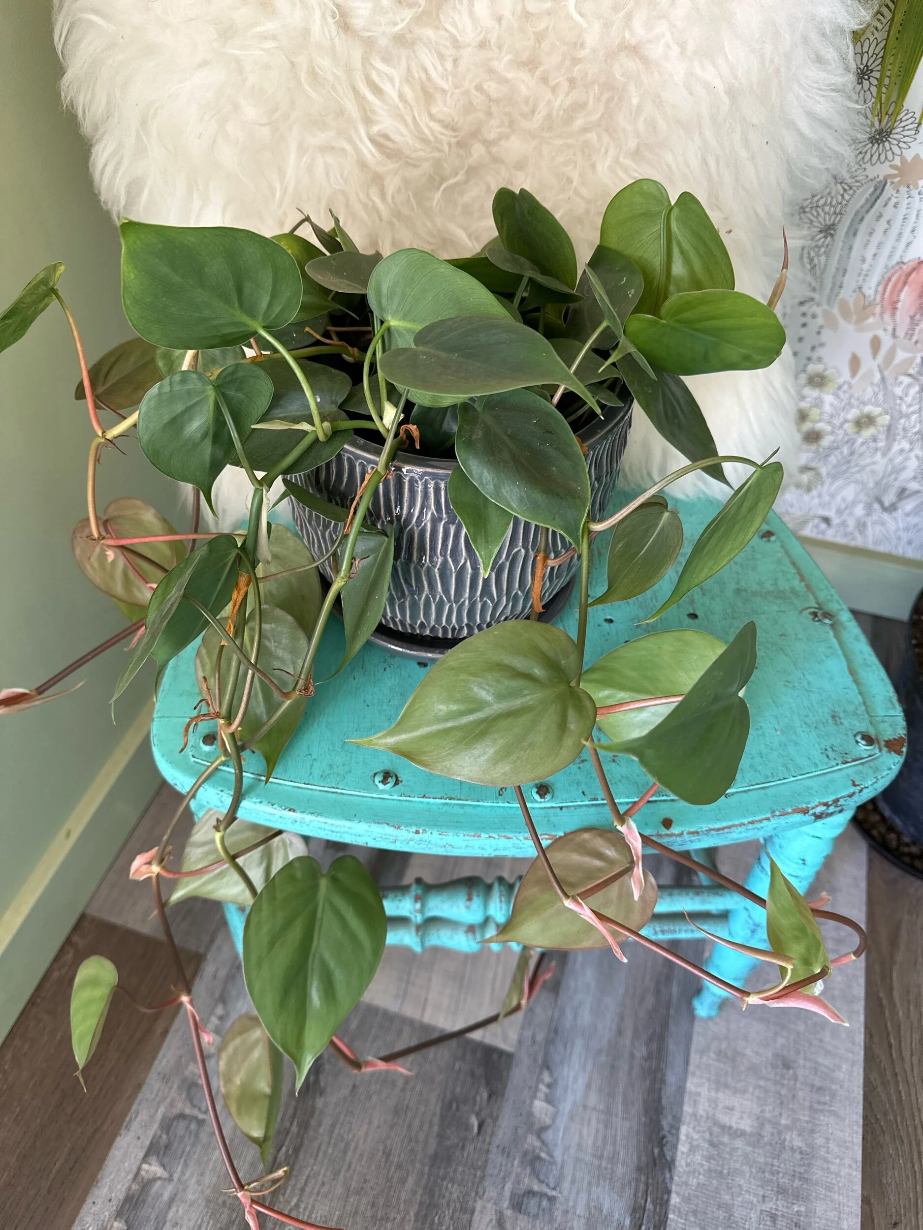 BAEFC5B1-9B29-449F-A5CC-AC12A0D7AECF