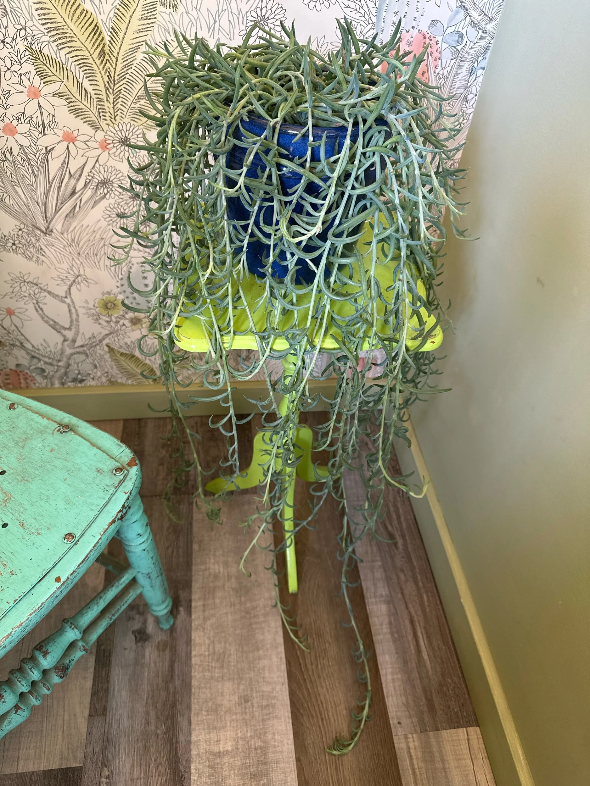D9C012E0-E197-459E-98AE-66498368B6C8.jpeg