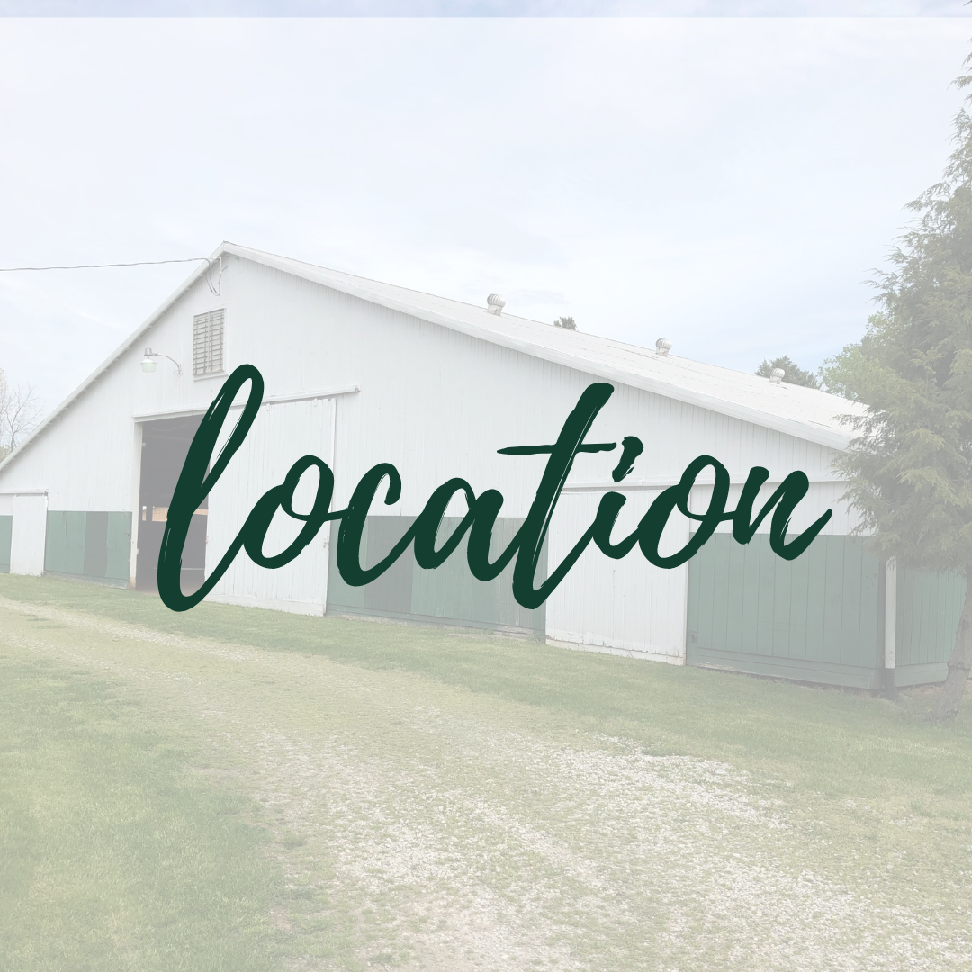 Minted Vintage (Home + Market)