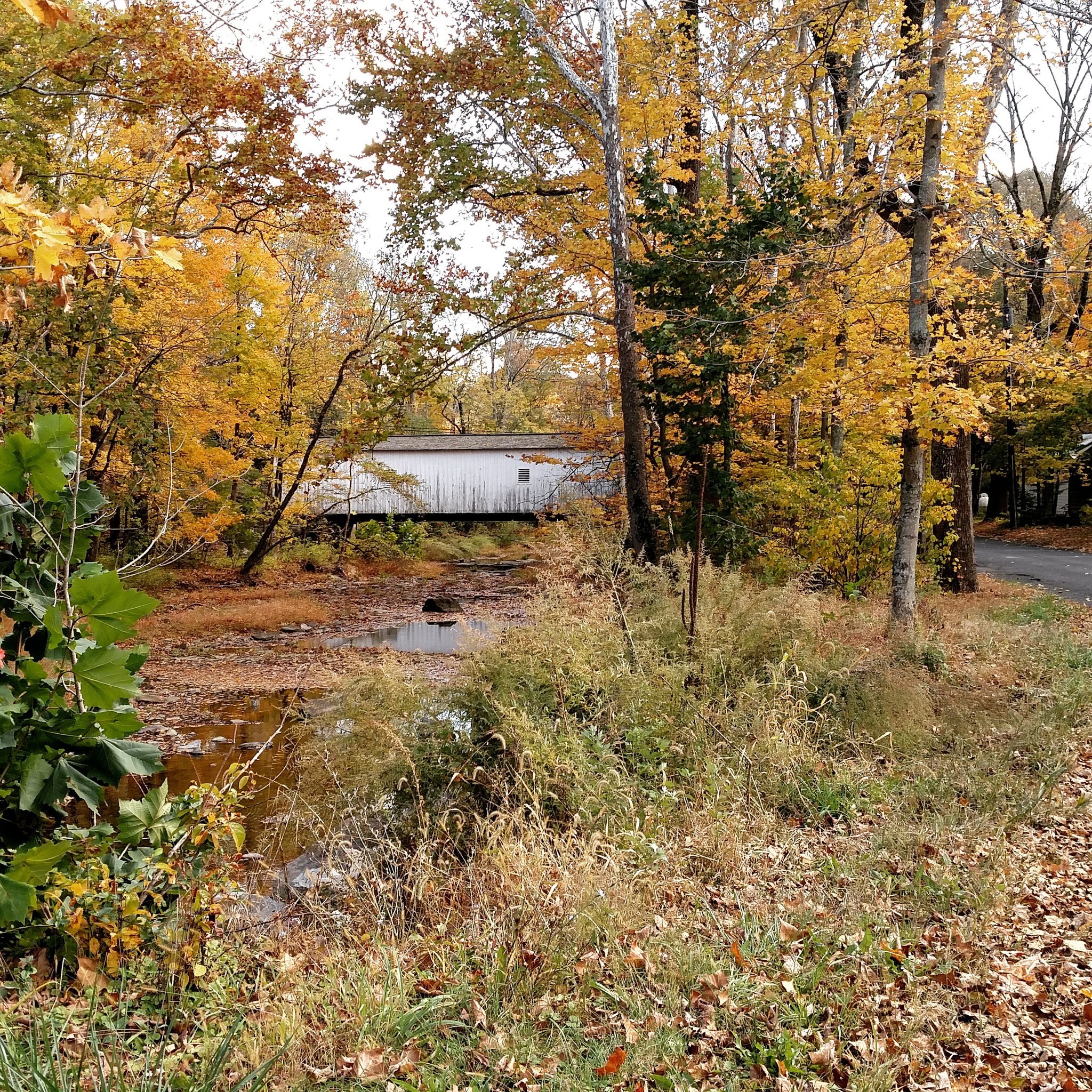 Green Sergeant's Bridge in Autumn