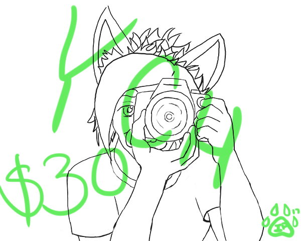 zoe's camera advert.png